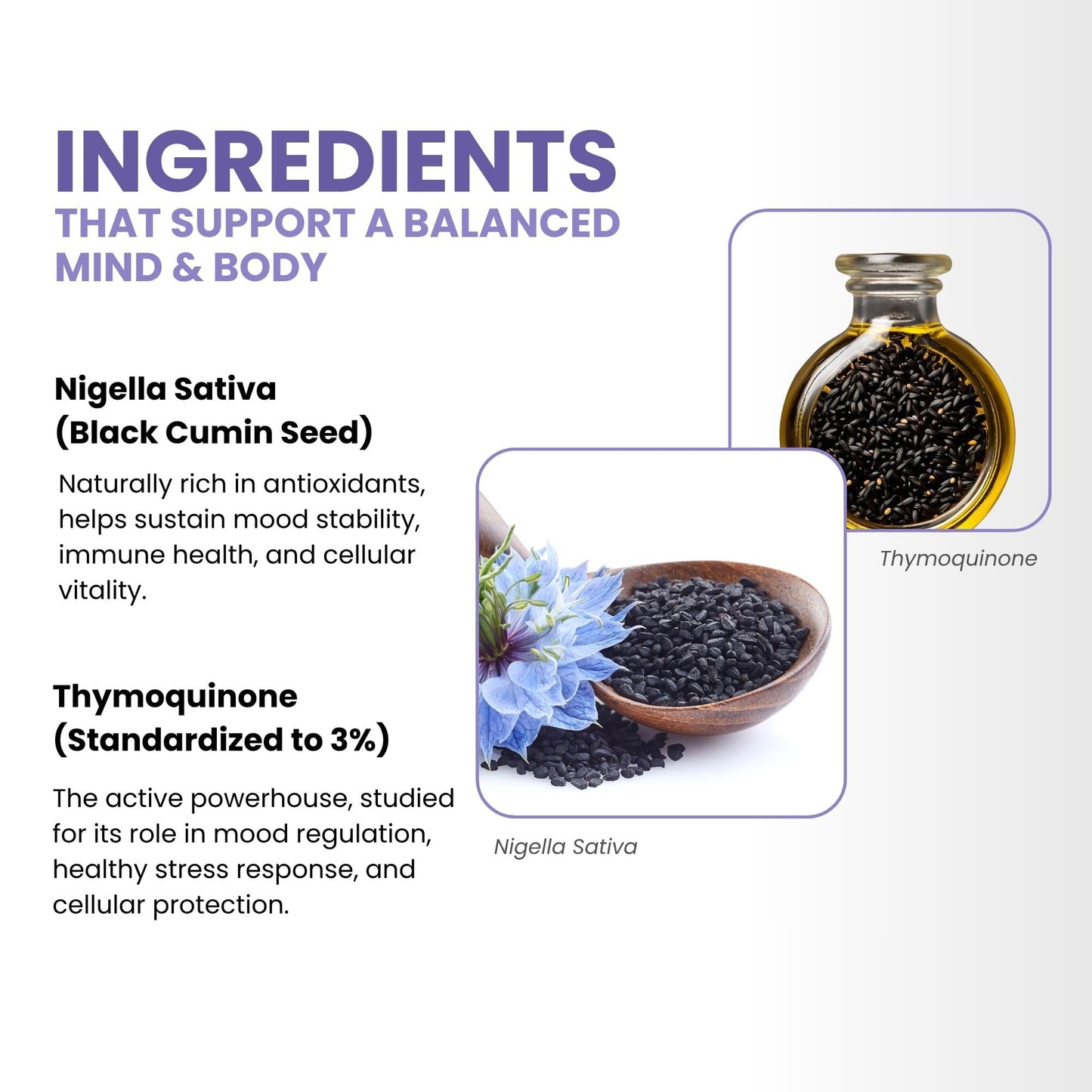 ThymoQuin Mood Support Supplement With Full-Spectrum Cold-Pressed Black Seed Oil (3% Thymoquinone) Softgel 60 Count