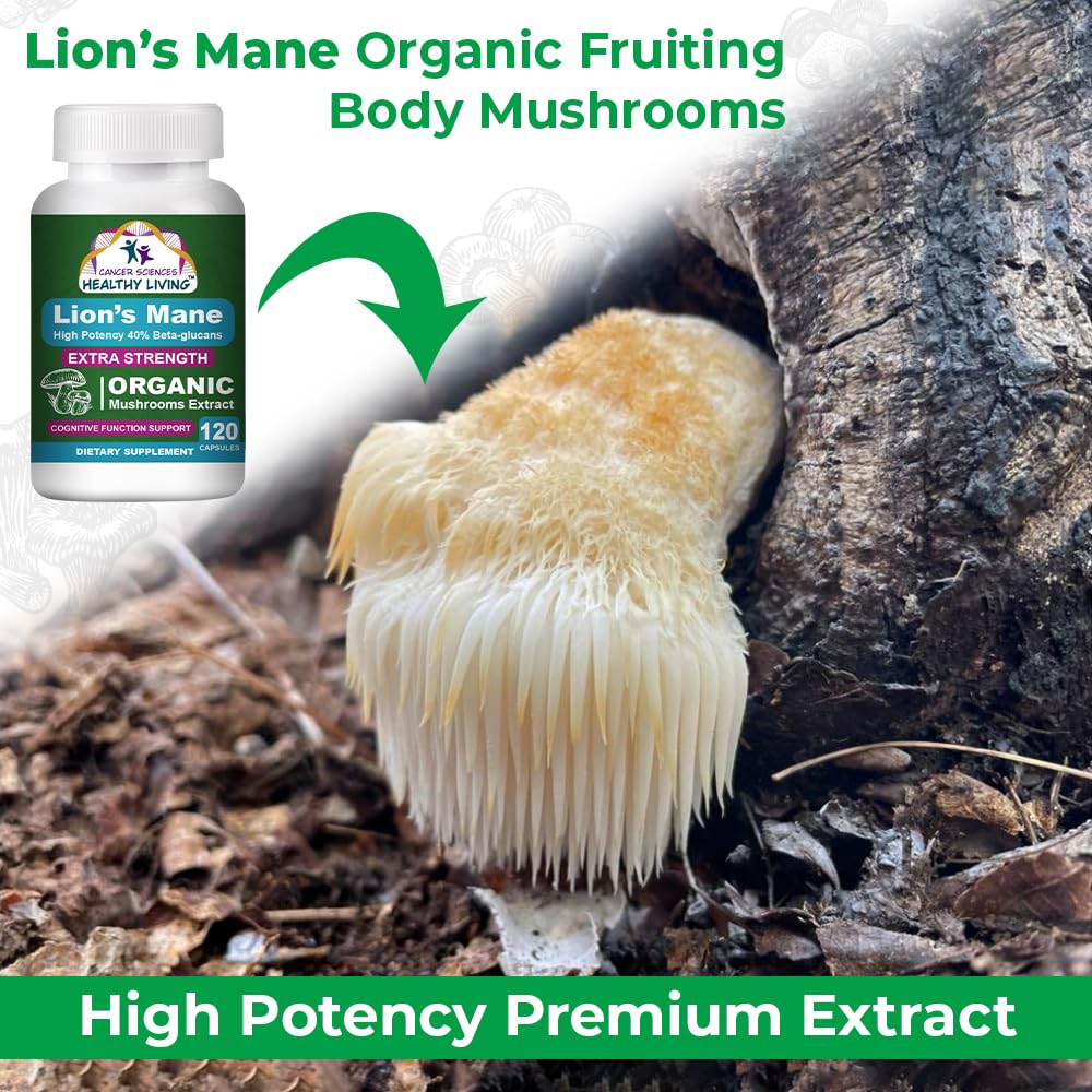CANCER SCIENCES HEALTHY LIVING Organic Lions Mane Mushroom Supplement Capsule 120 Count