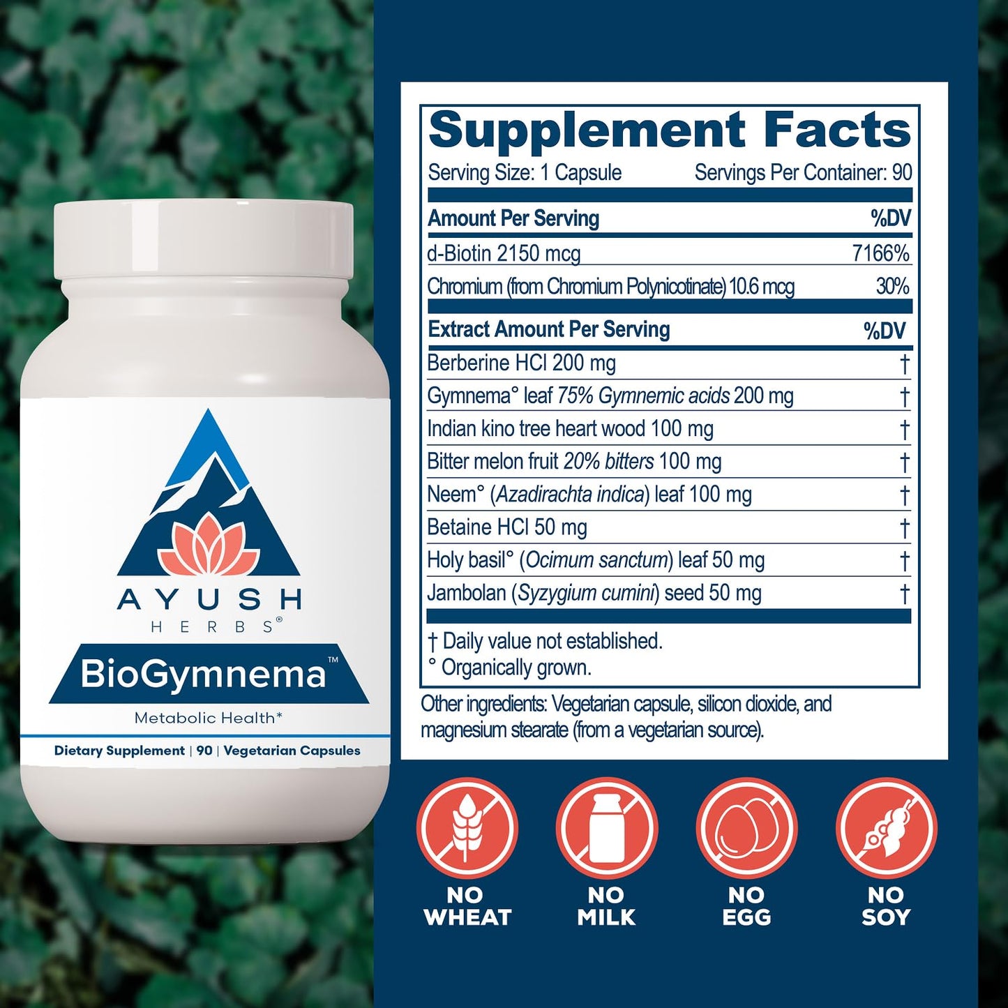 Ayush Herbs BioGymnema, Metabolic Vitamin & Herb Blend Capsule 90 Count