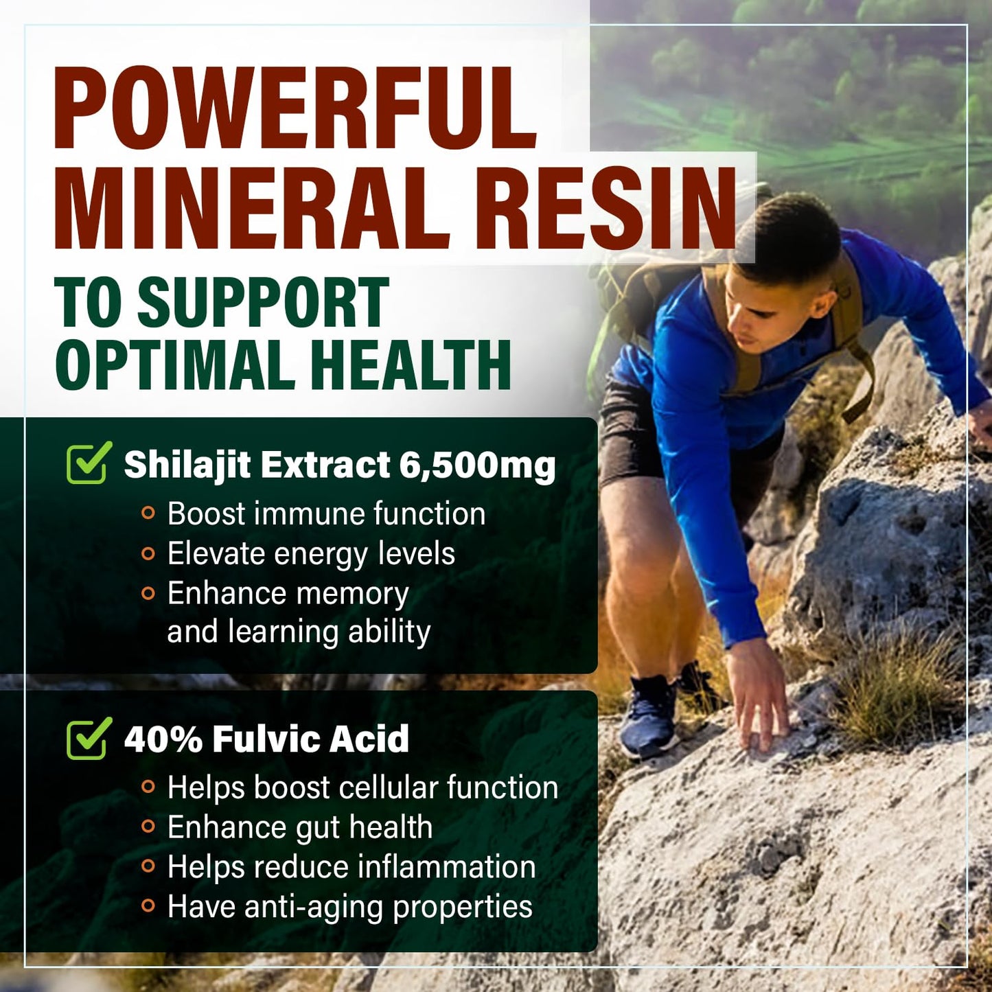 Benevolent Nourishment Shilajit 6500mg Capsules, 120 Count