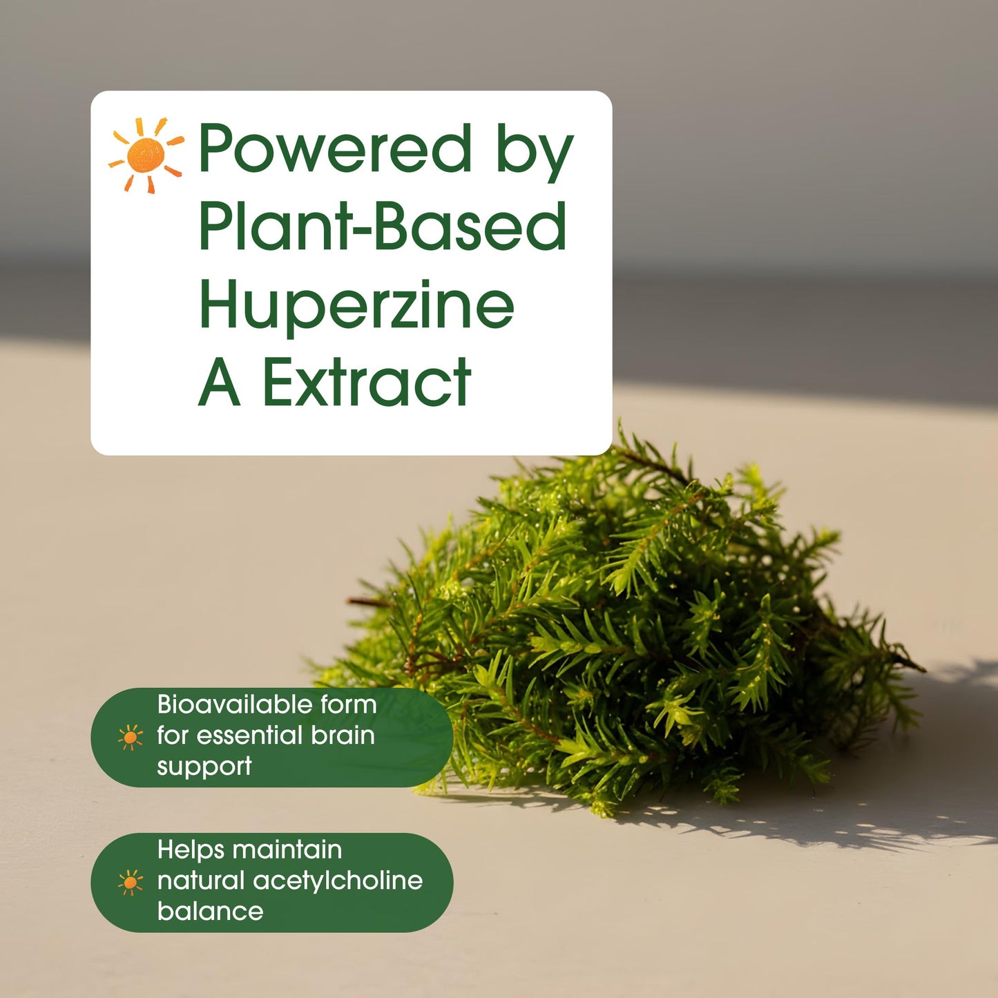 NatureBell Huperzine A 400mcg Capsules, 240 Count