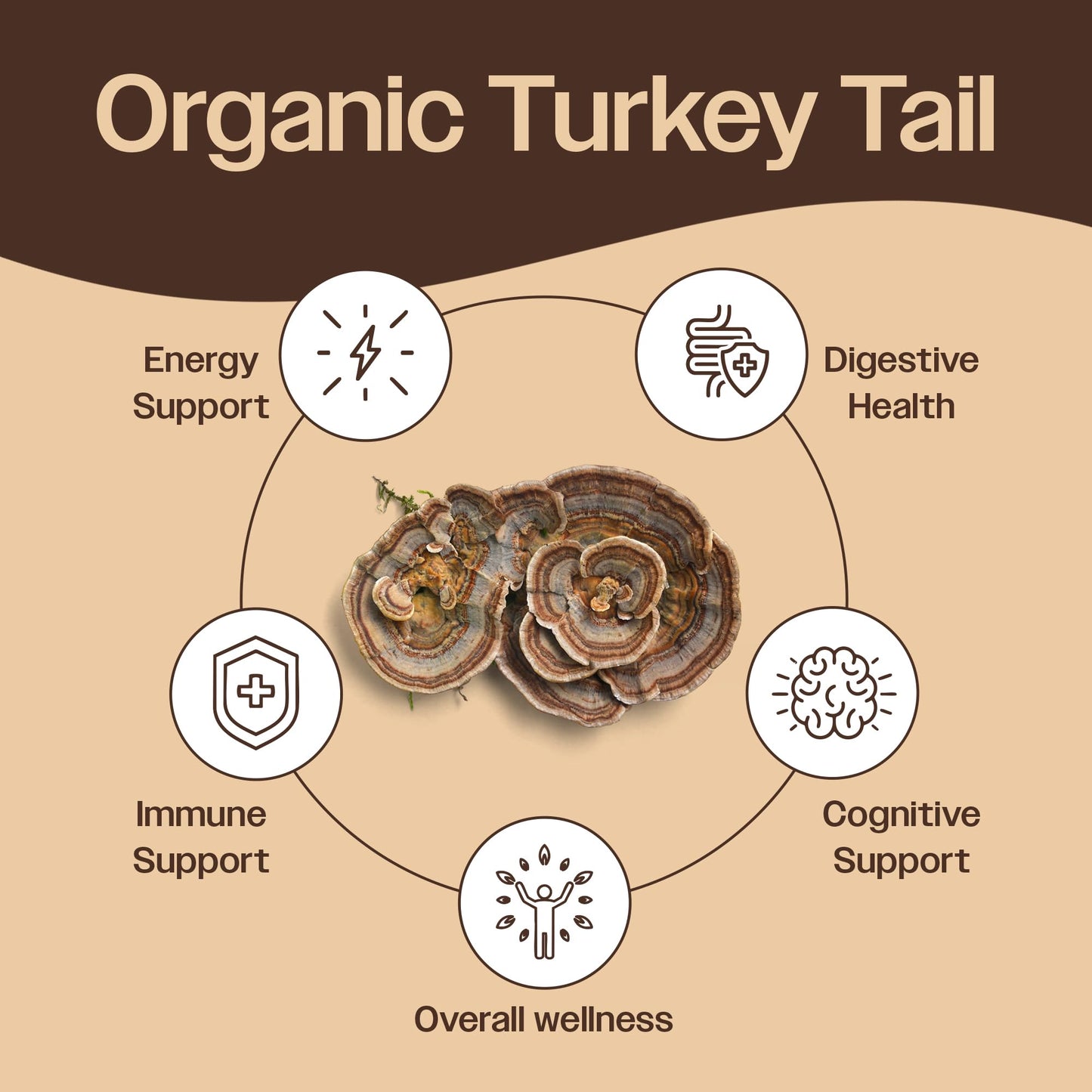 Mayfair Naturals Turkey Tail Mushroom Powder, 3.5 oz
