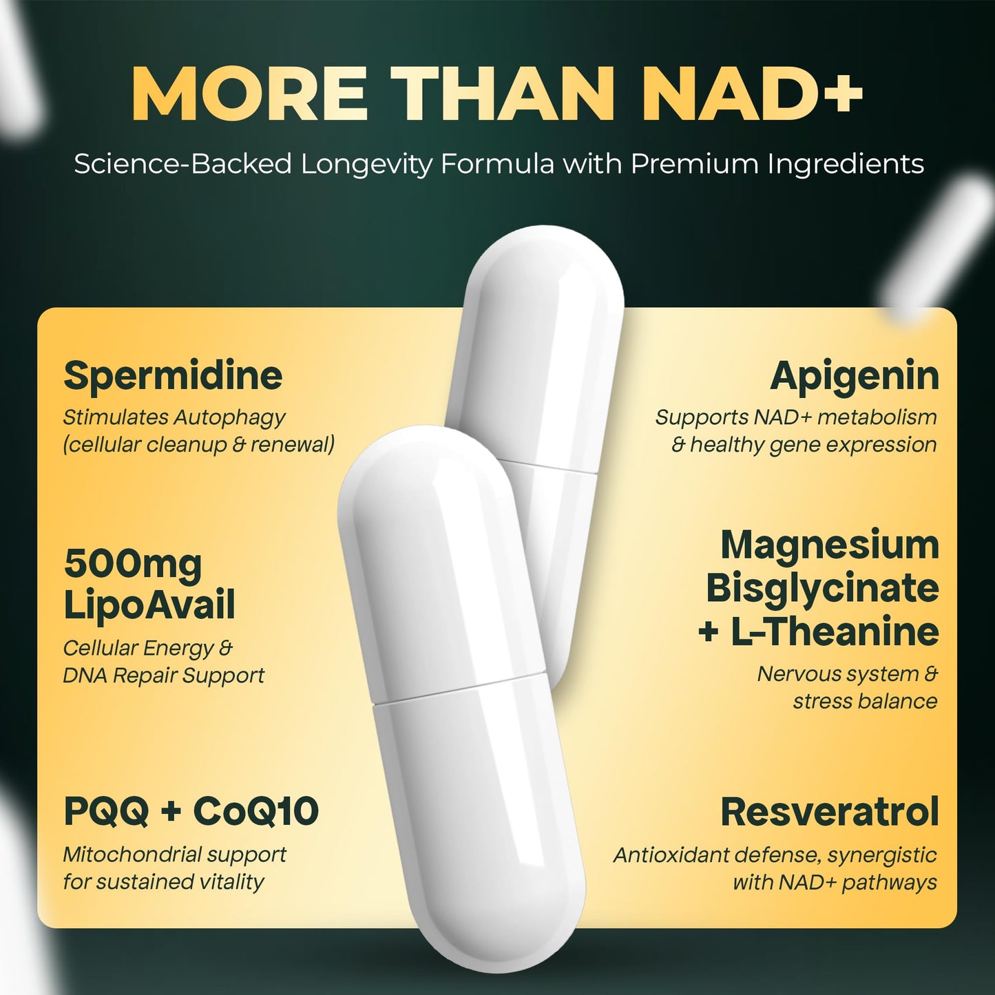 UPLIFE NAD+ Liposomal Supplement Capsules, 120 Capsules