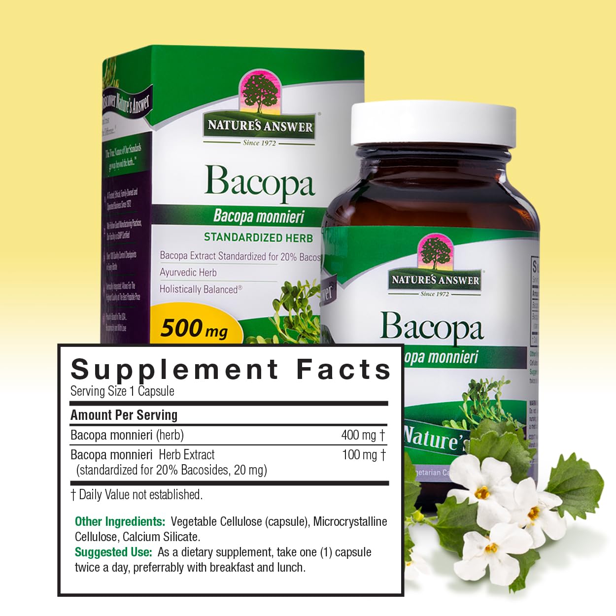 Nature's Answer Bacopa Monnieri 500mg Capsule, 90 Capsules