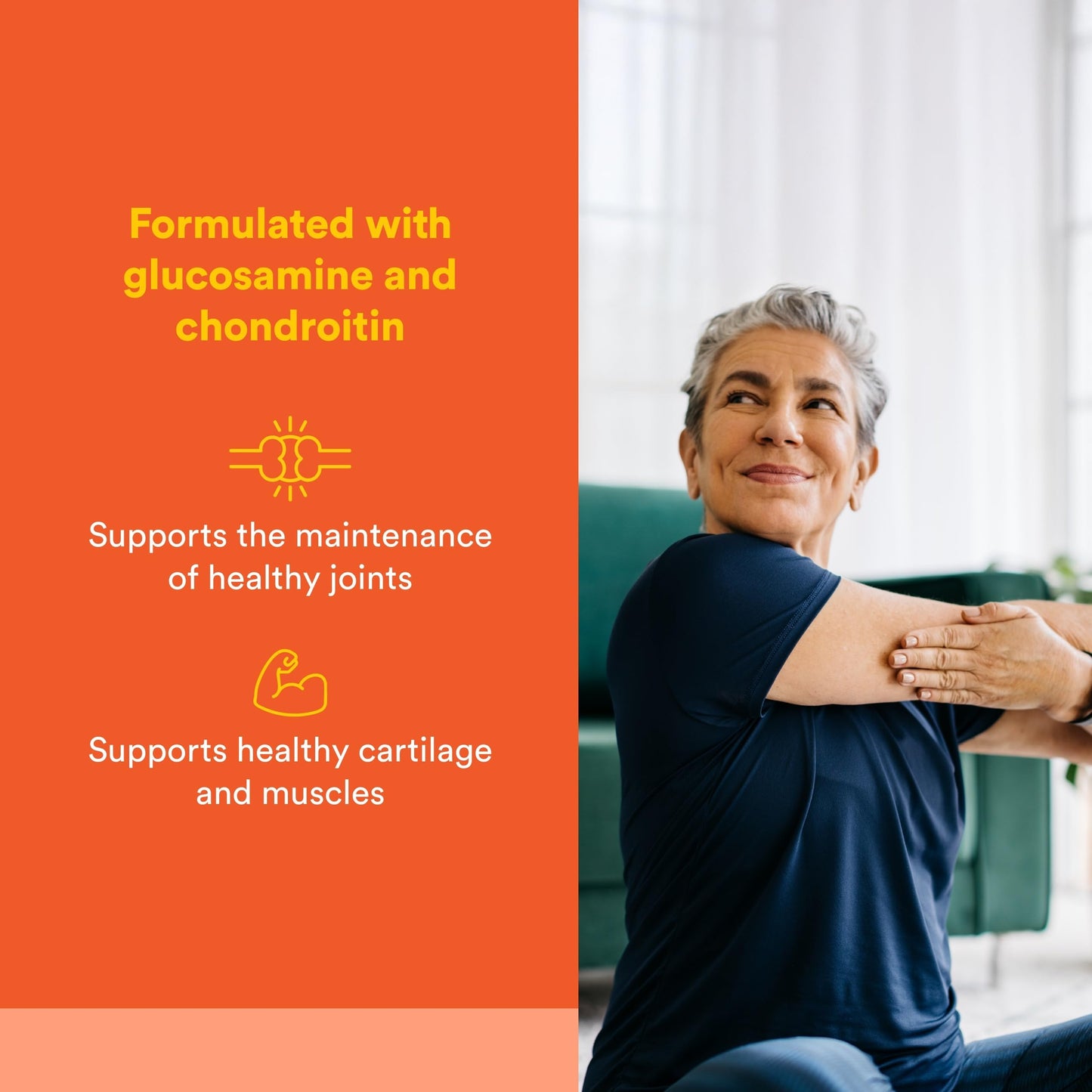 Natural Factors MSM 90 Capsules