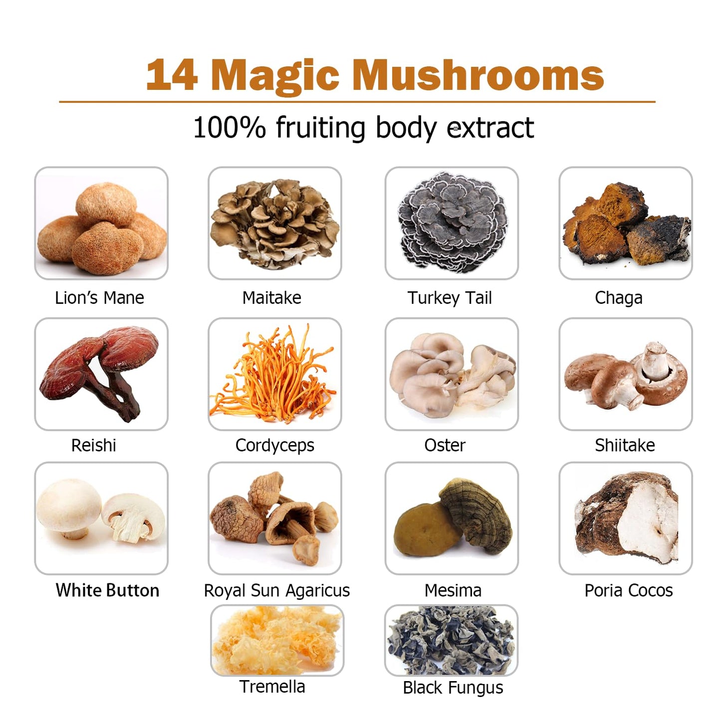 ECO-TASTE 14 Mushrooms Supplement Capsules 120 Count