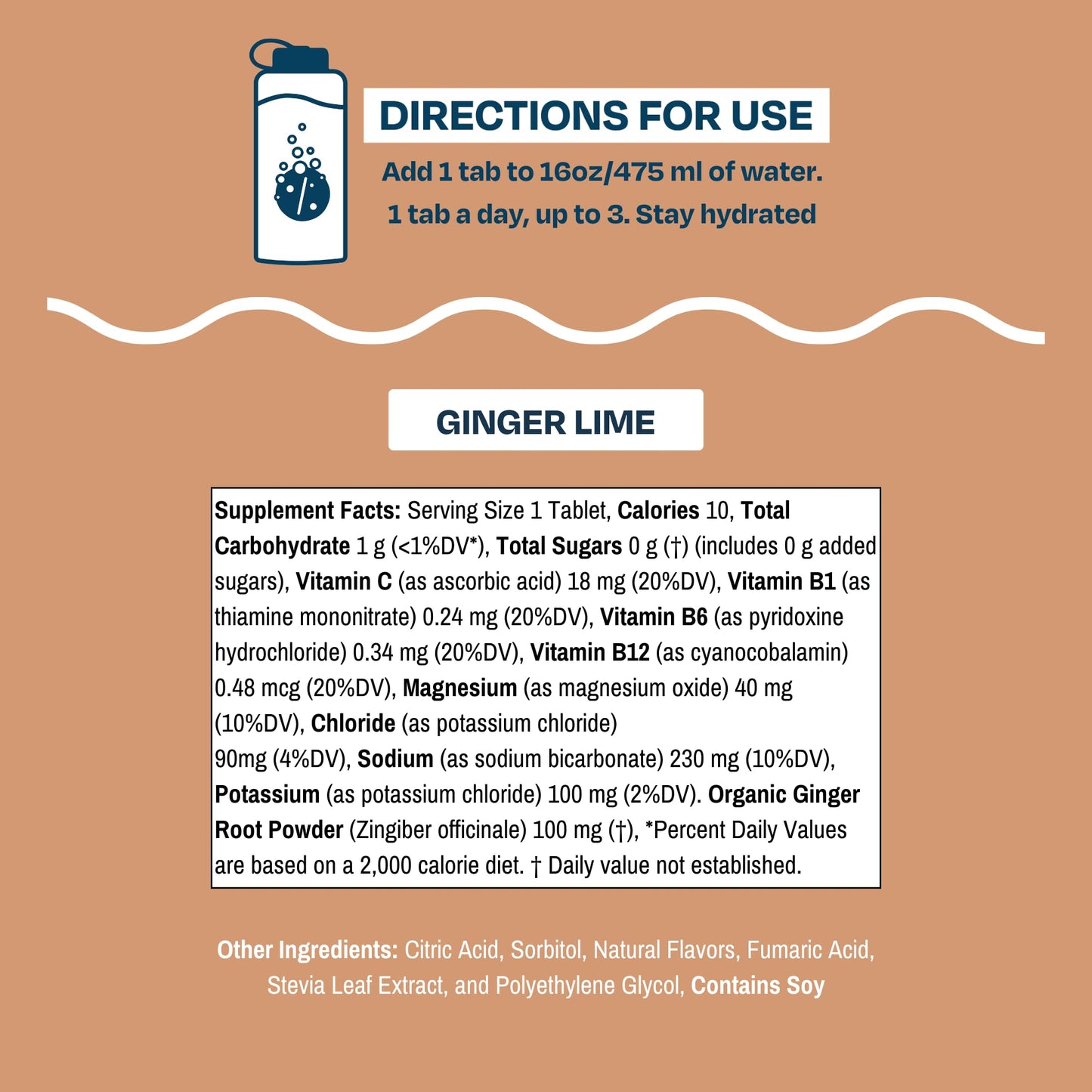 Drinklits Ginger-Lime Daily Hydration Tablets, Tablet, 20 Tablets