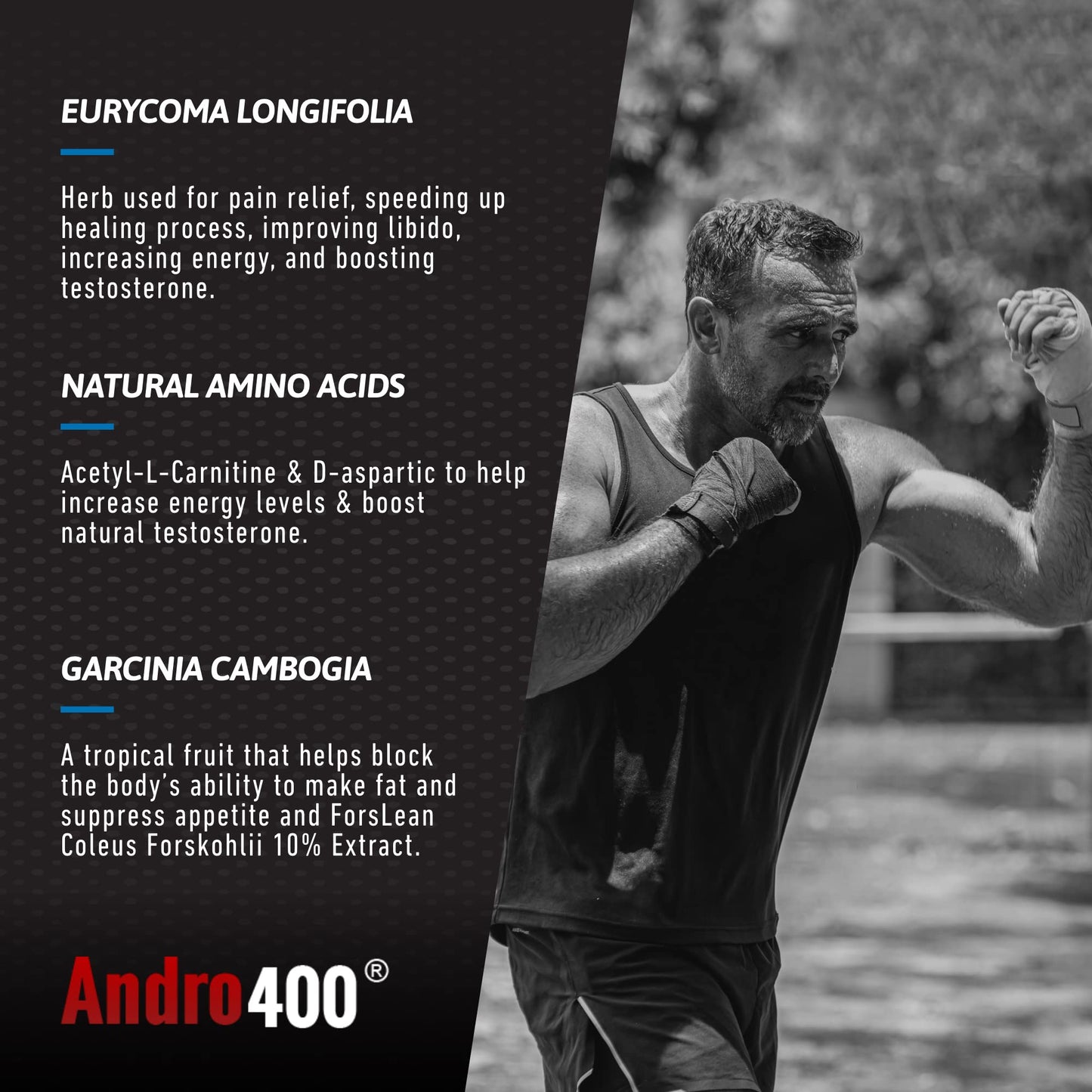 Andro400 Ultra Max T Maximum Strength T-Support Complex 60 Capsules