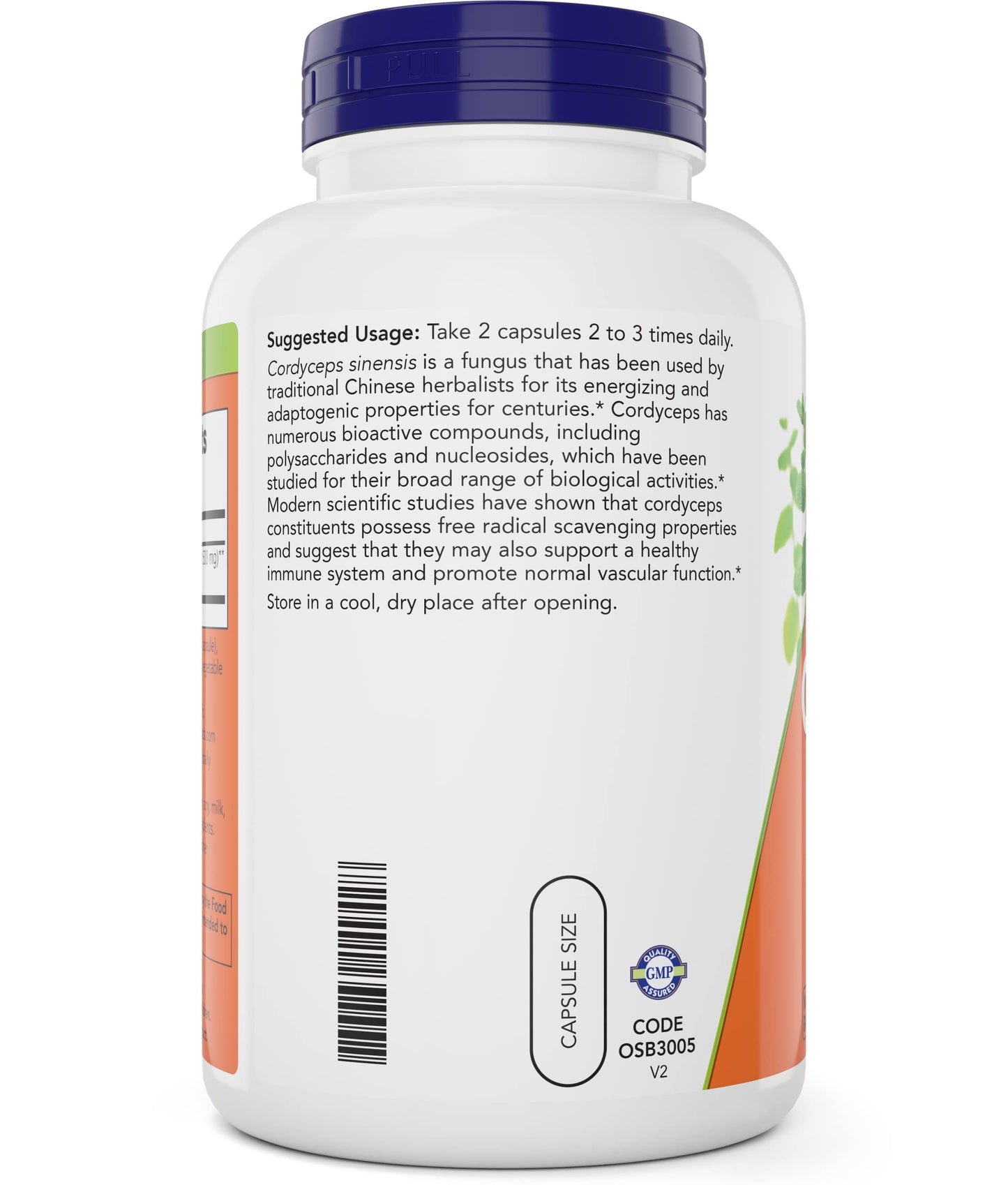 NOW Foods Cordyceps Capsules 2-Pack