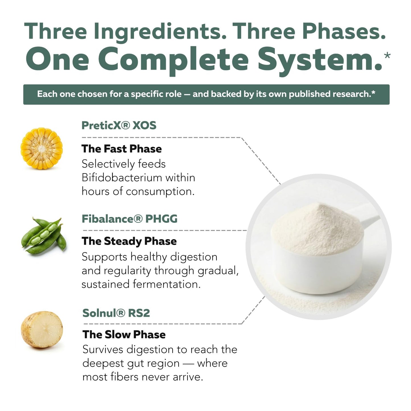 Triquetra Health Phase Fiber Prebiotic Powder 10