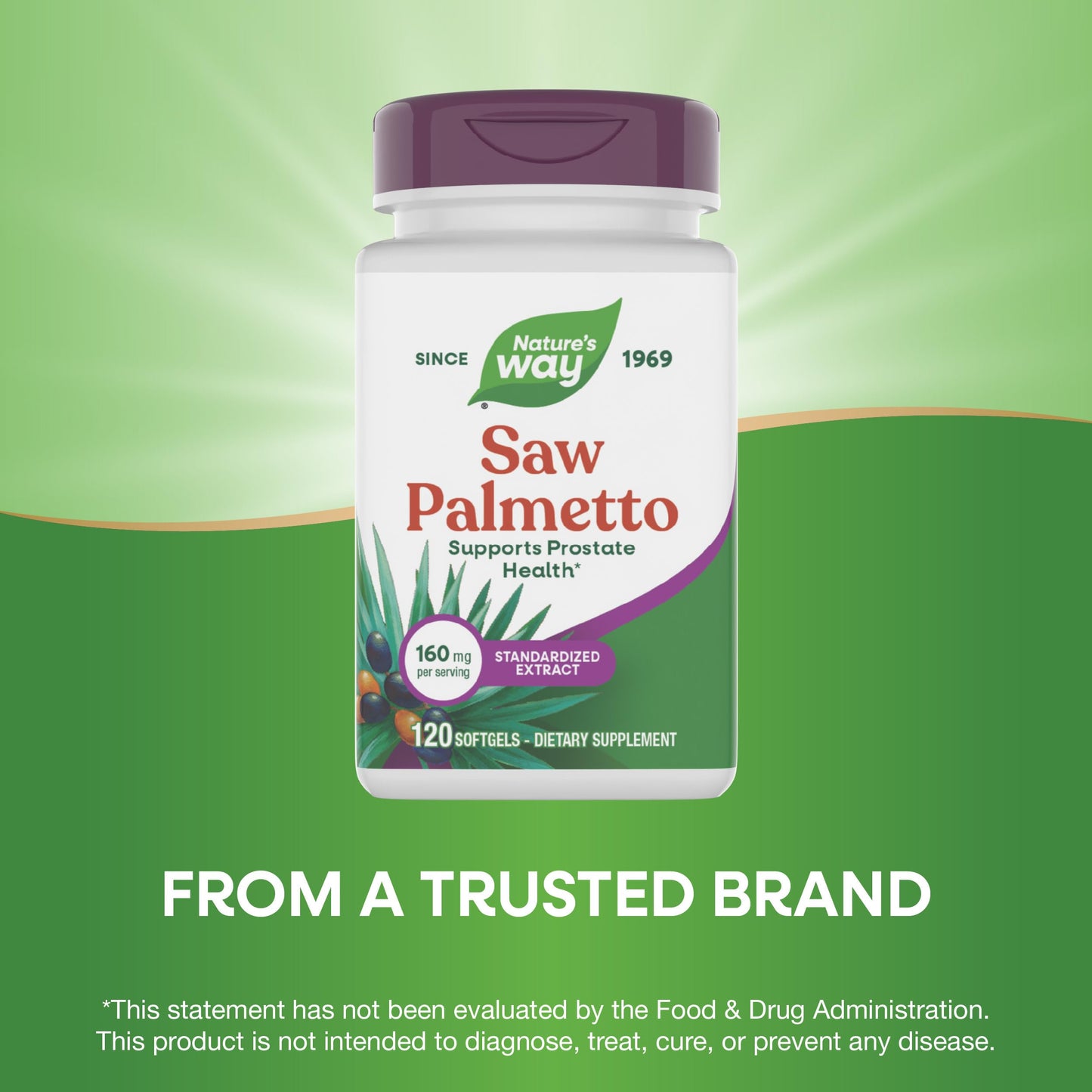 Nature's Way Saw Palmetto Standardized Extract 160mg Softgels, 120 Softgels