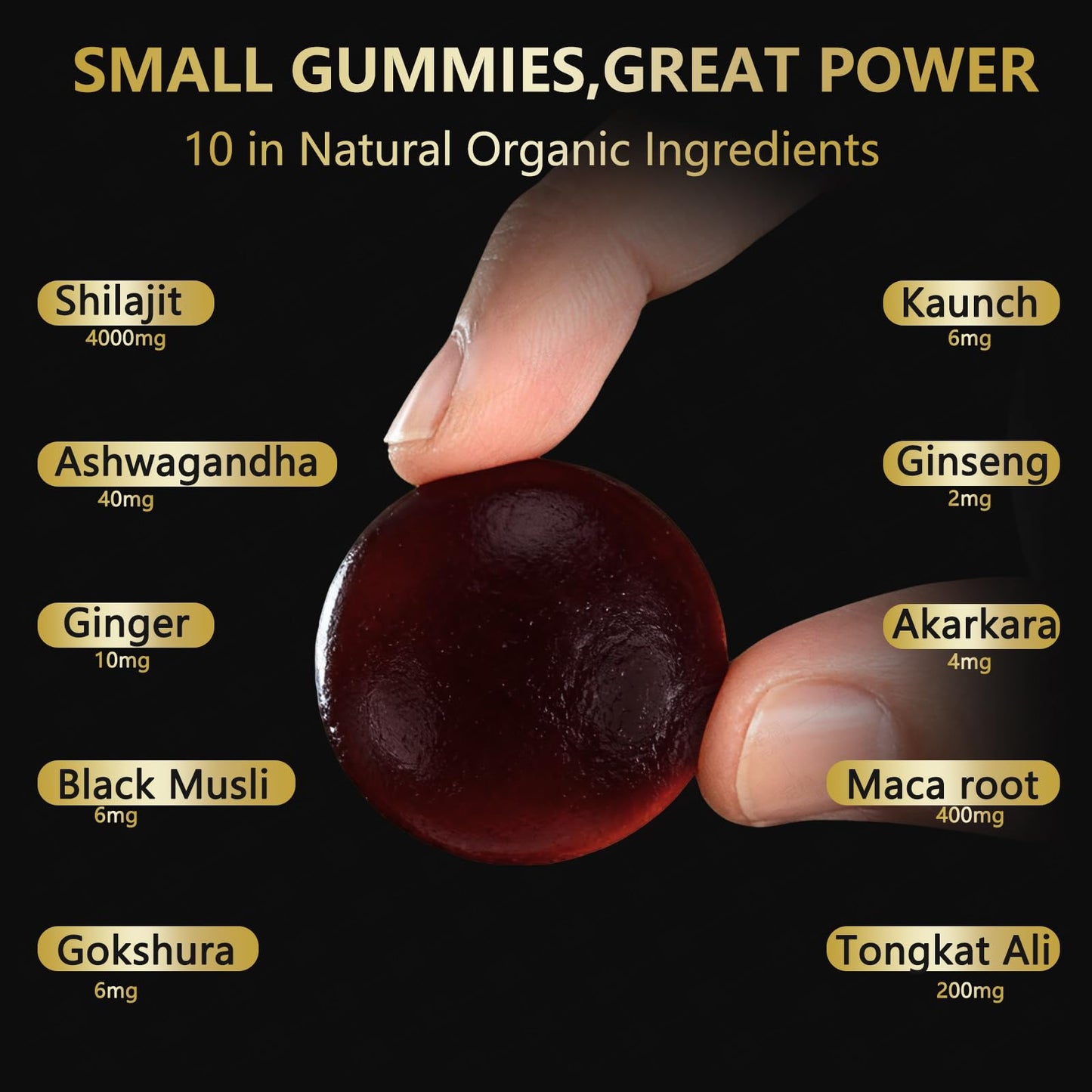JIAPAI Himalayan Gold Shilajit Gummies 60 Count