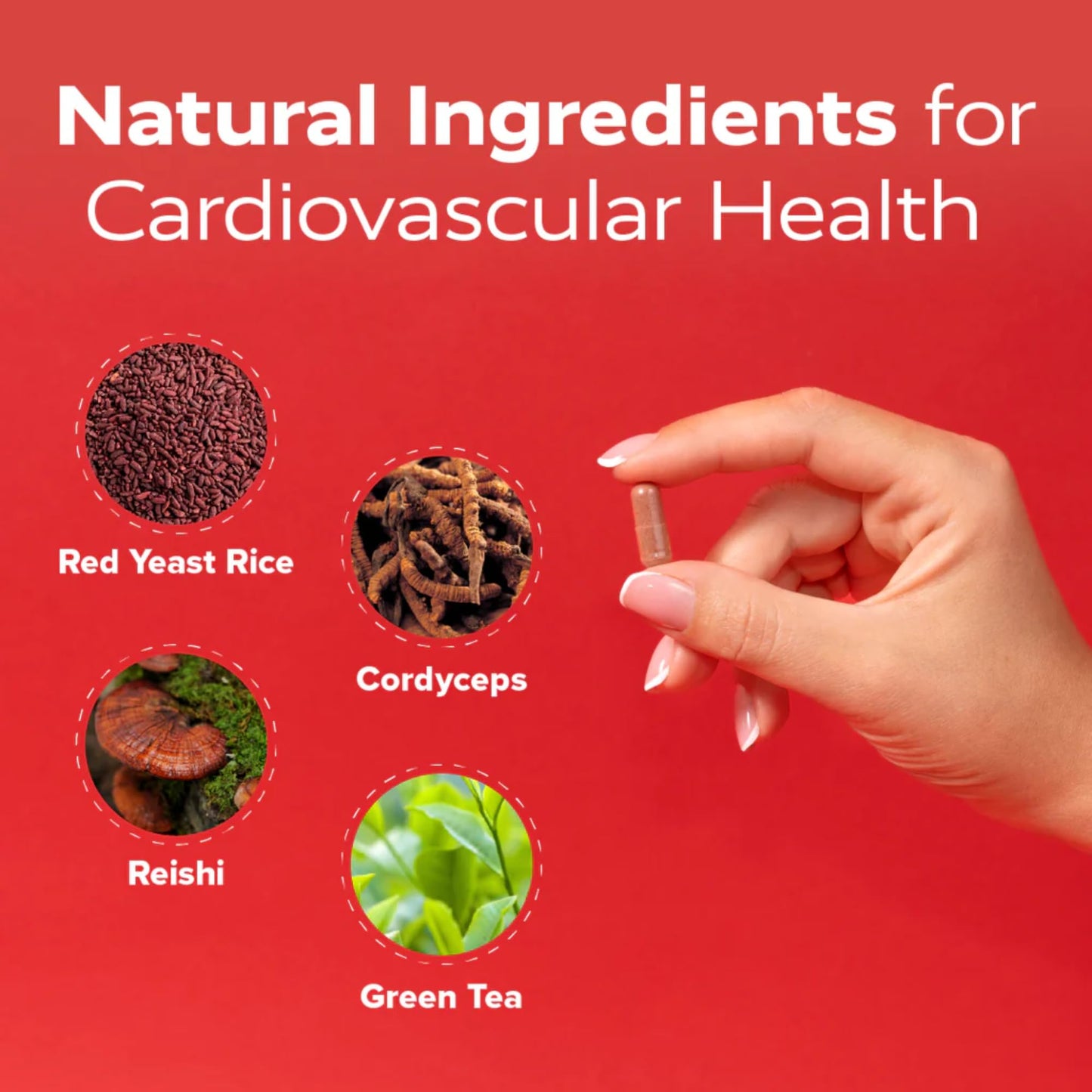 Redd Remedies Cholesterol Triple Care Capsule 60 Count