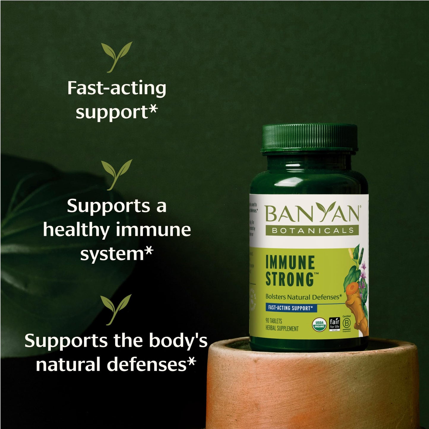 Banyan Botanicals Immune Strong Tablets, 90 Count