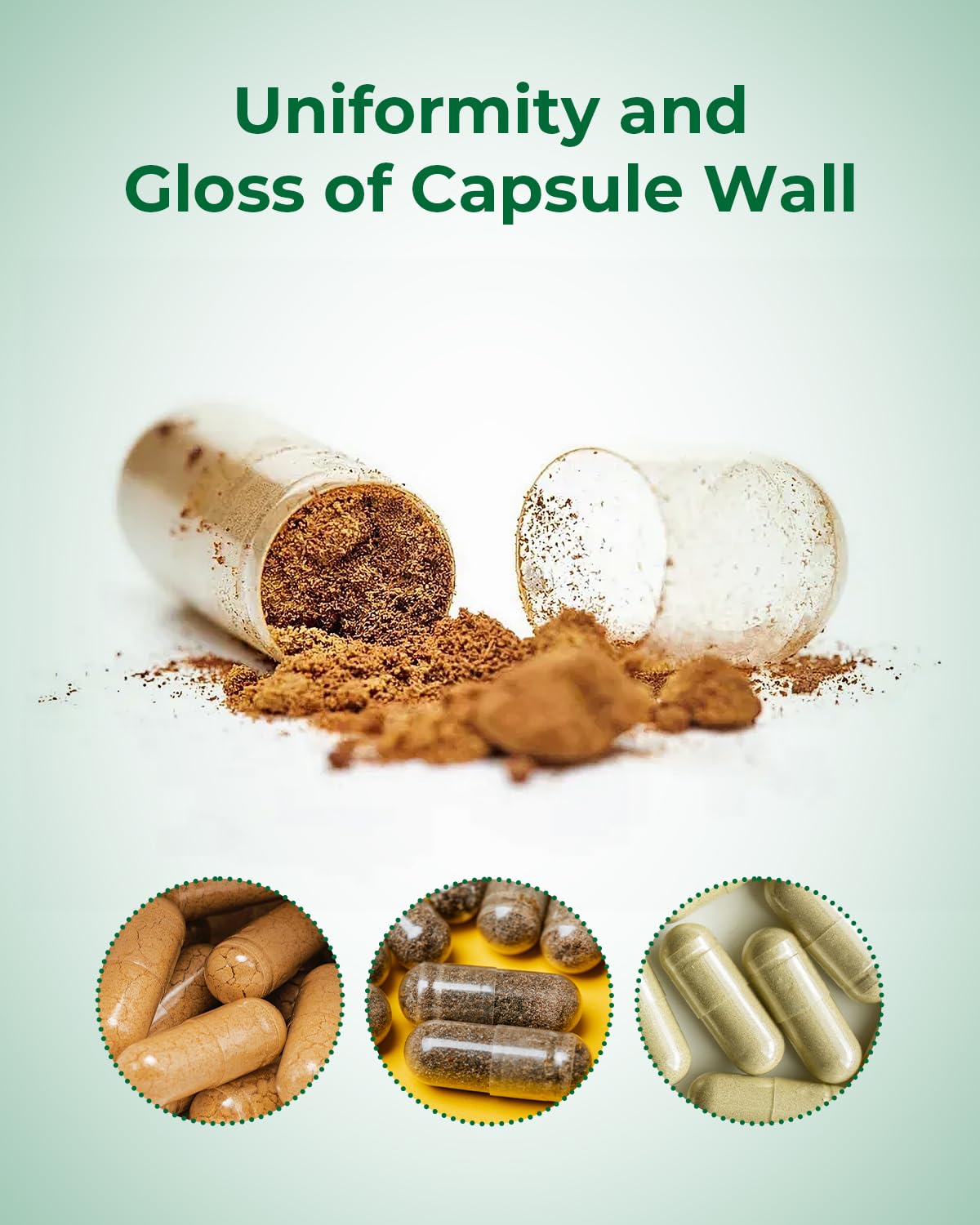 MéipaLien HPMC Empty Capsules, 100 Count
