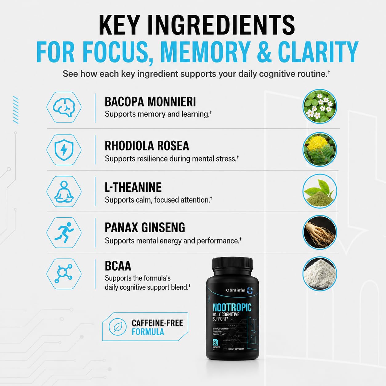 Obrainful Nootropic Brain Support Supplement Capsule 60 Count