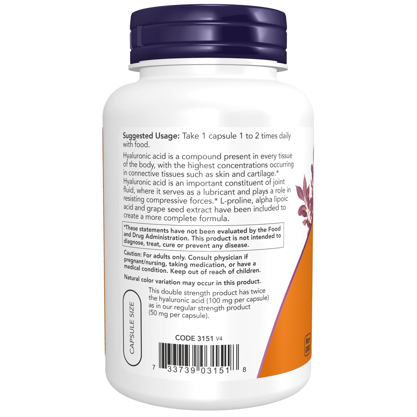 NOW Foods Hyaluronic Acid 100 mg Capsules, 120 Count