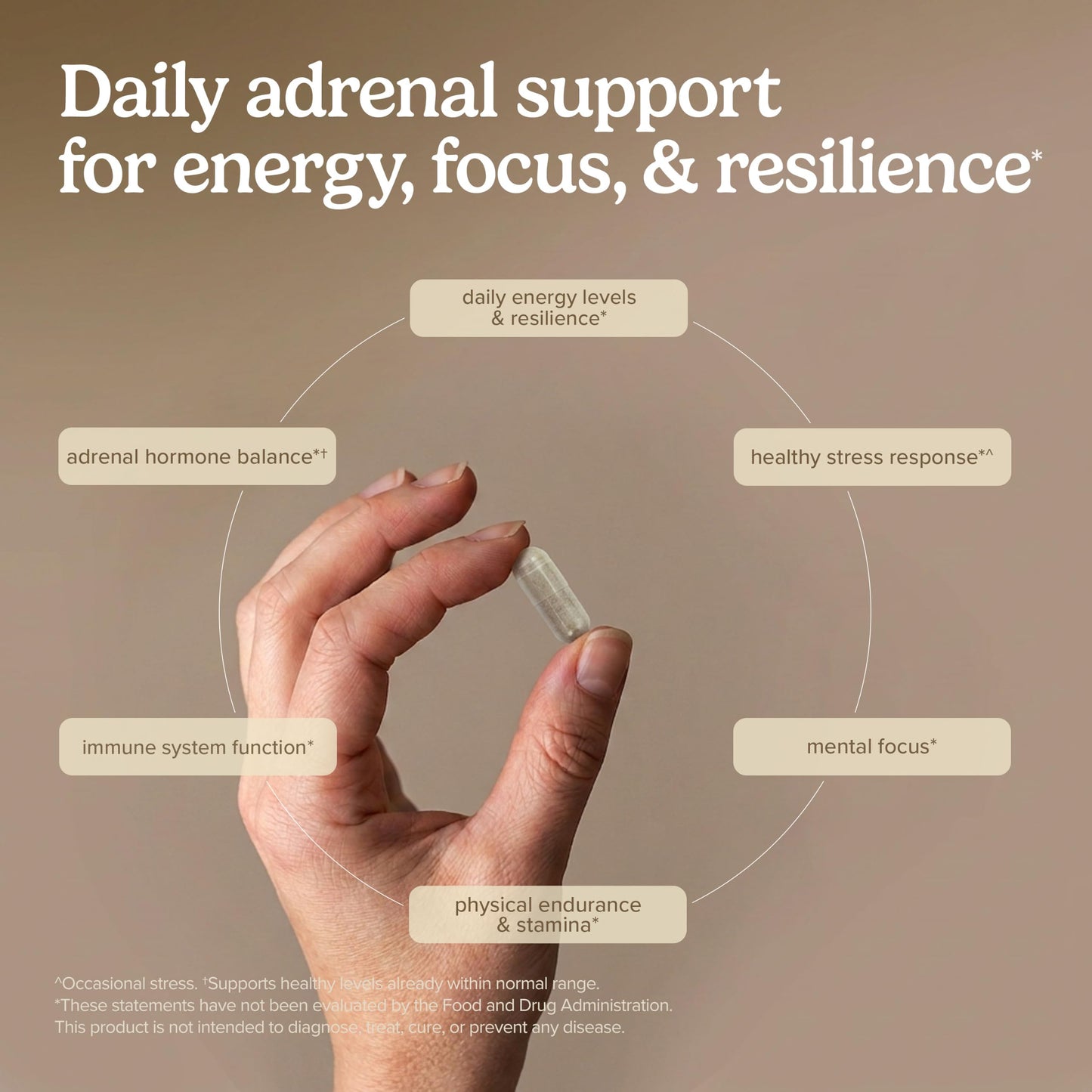 Terry Naturally Adrenaplex Maximum Adrenal Gland Support Capsule 120