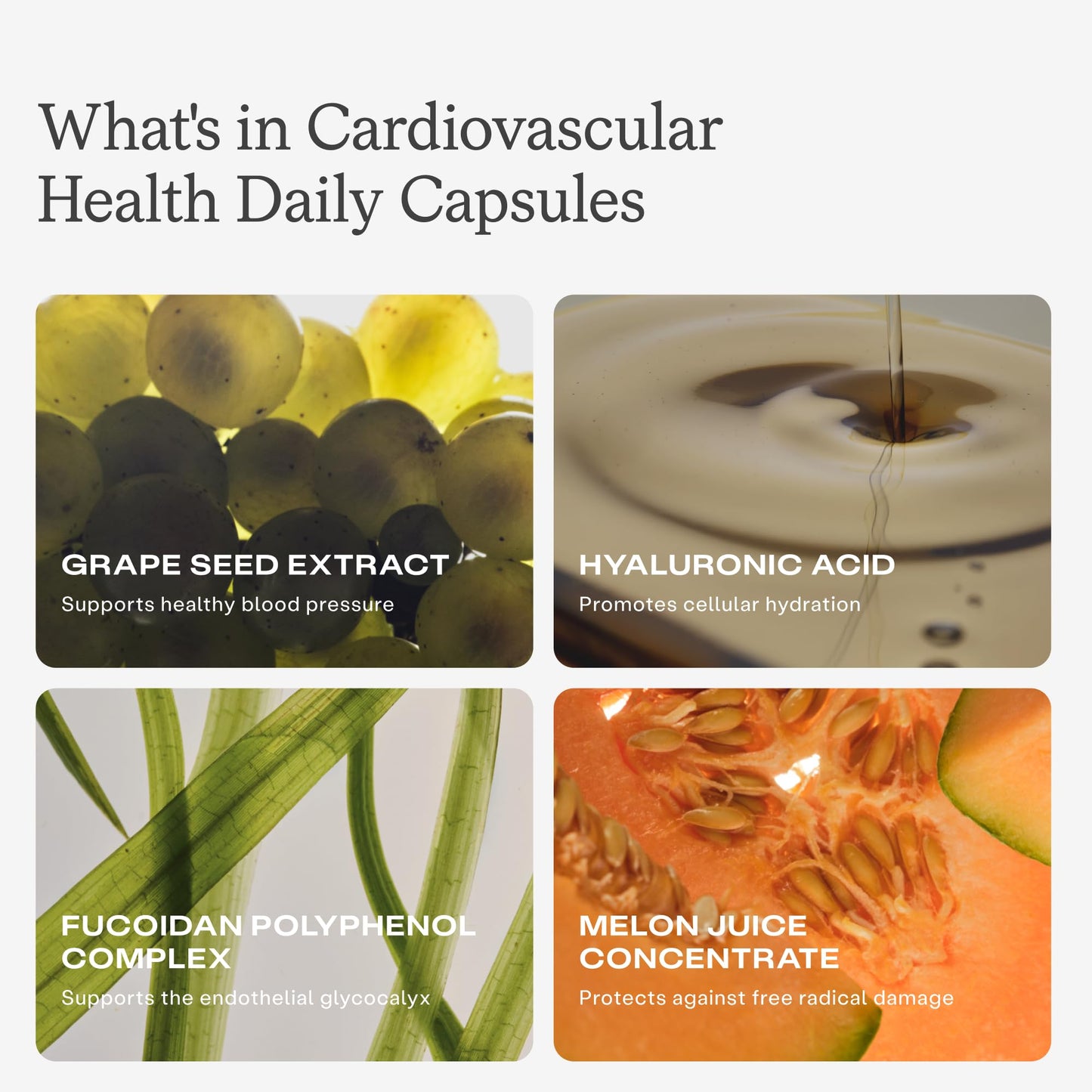 HumanN Cholesterol & Cardiovascular Health Daily Bundle Capsules 120