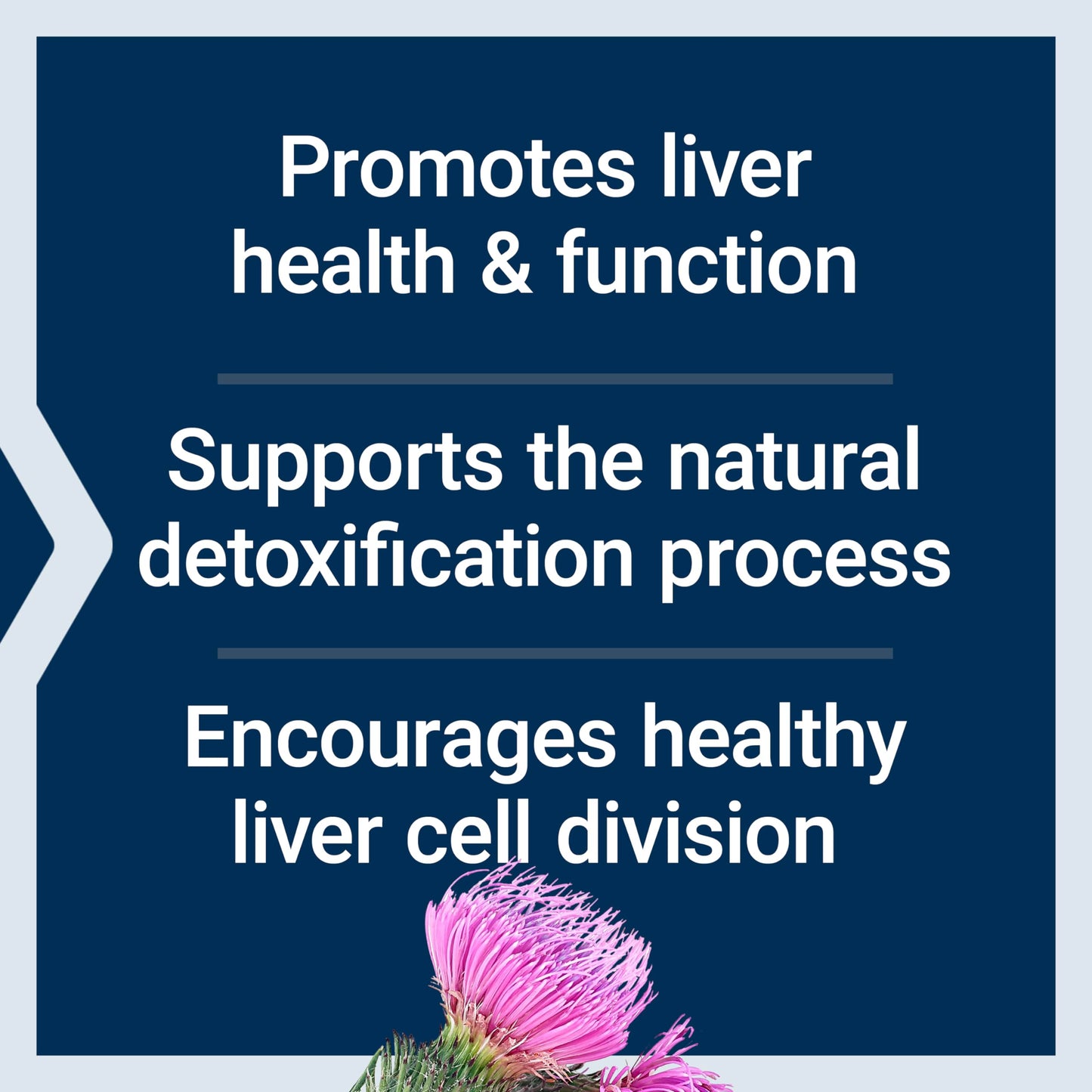 Life Extension Advanced Milk Thistle Softgel 60 Softgels