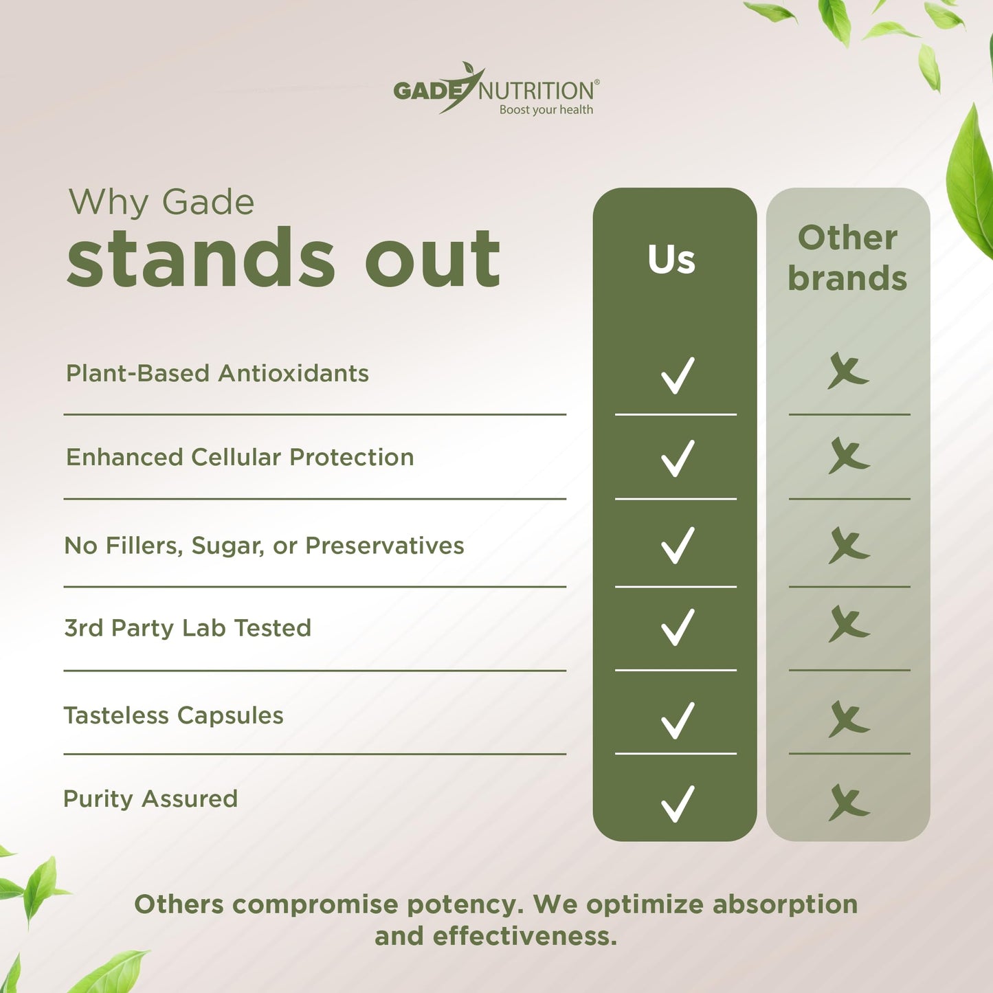 GADE NUTRITION NAC N-Acetyl Cysteine with Quercetin & Zinc Immune Support Capsule, 60 Count