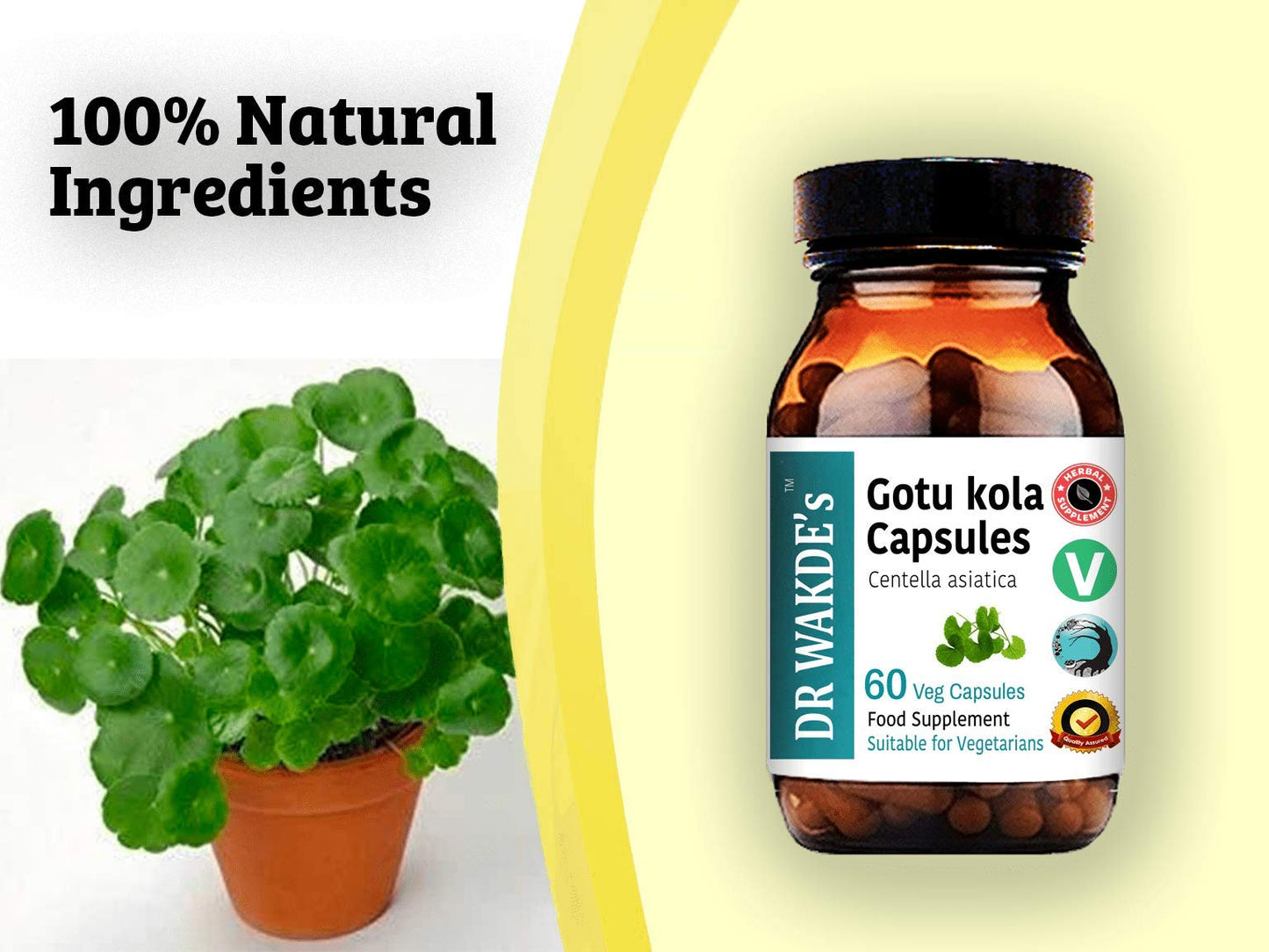 DR WAKDE'S Gotu Kola Capsules 60 Veg Caps