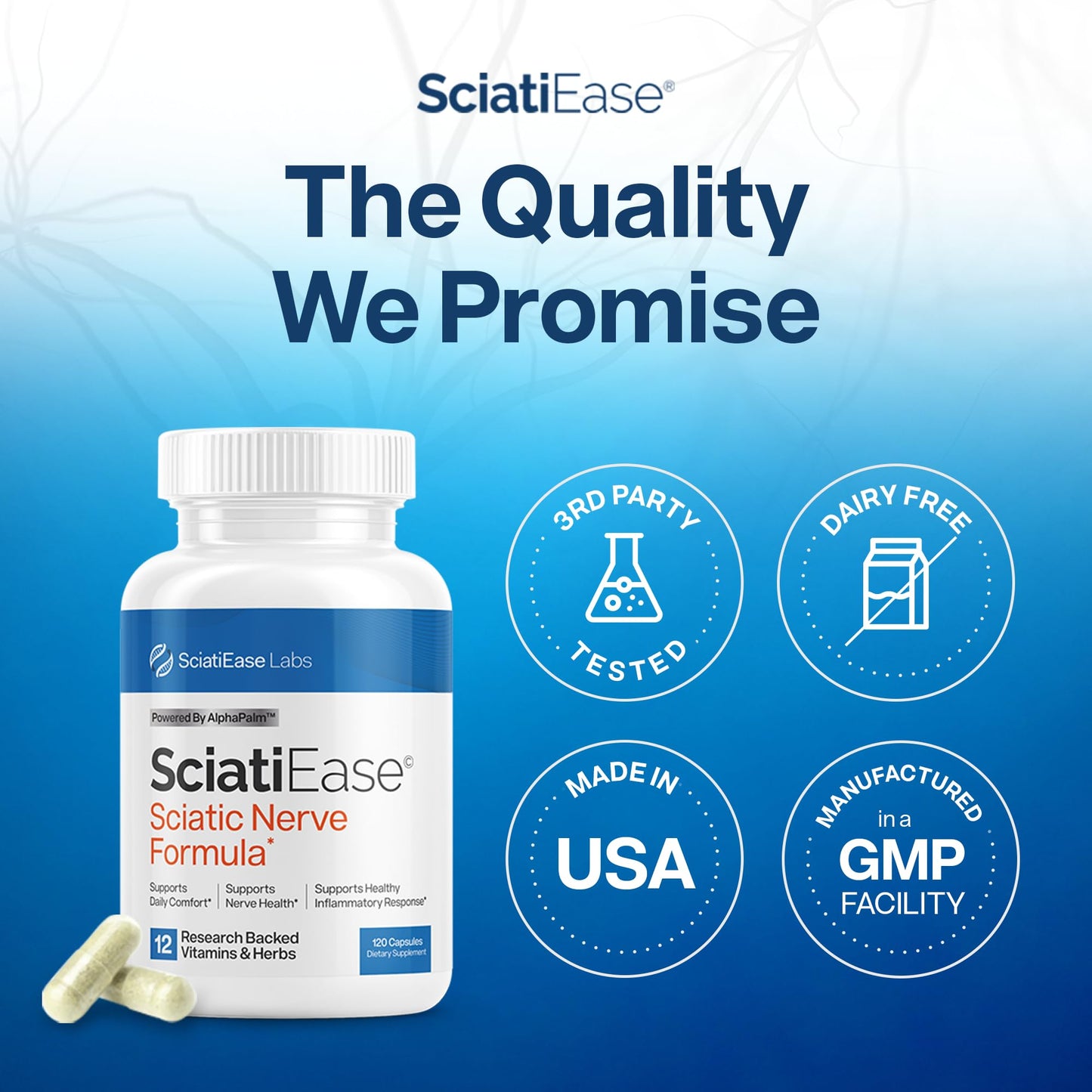 SciatiEase Sciatic Nerve Health Support Supplement Capsule, 120 Capsules