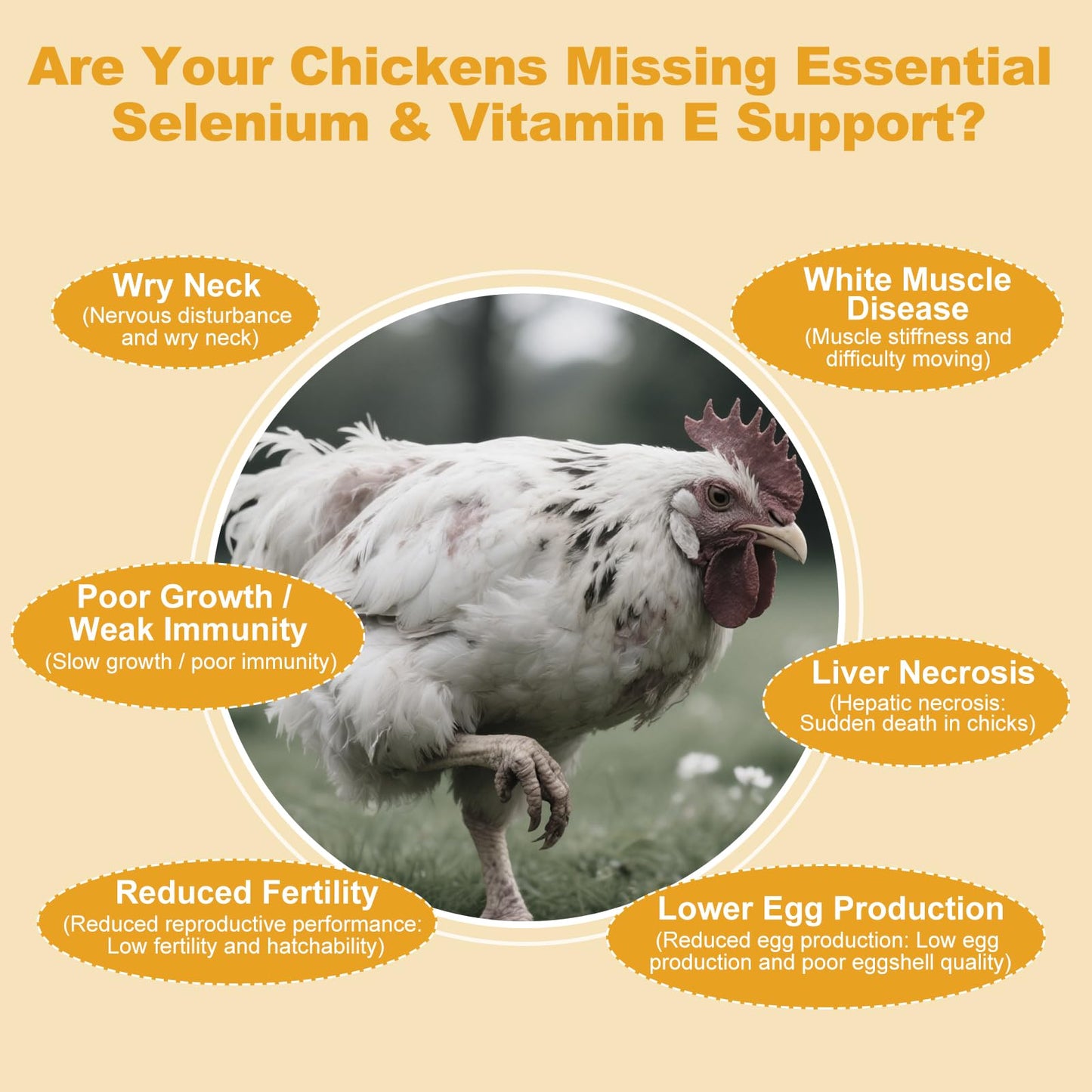 Ourea Selenium and Vitamin E Powder for Chickens, Powder, 1