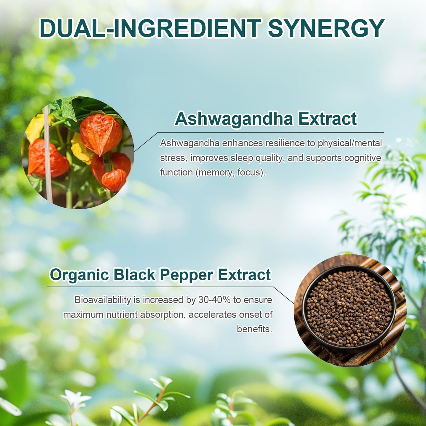 DR YES Ashwagandha 500mg Capsules with Organic Black Pepper, 90 Capsules