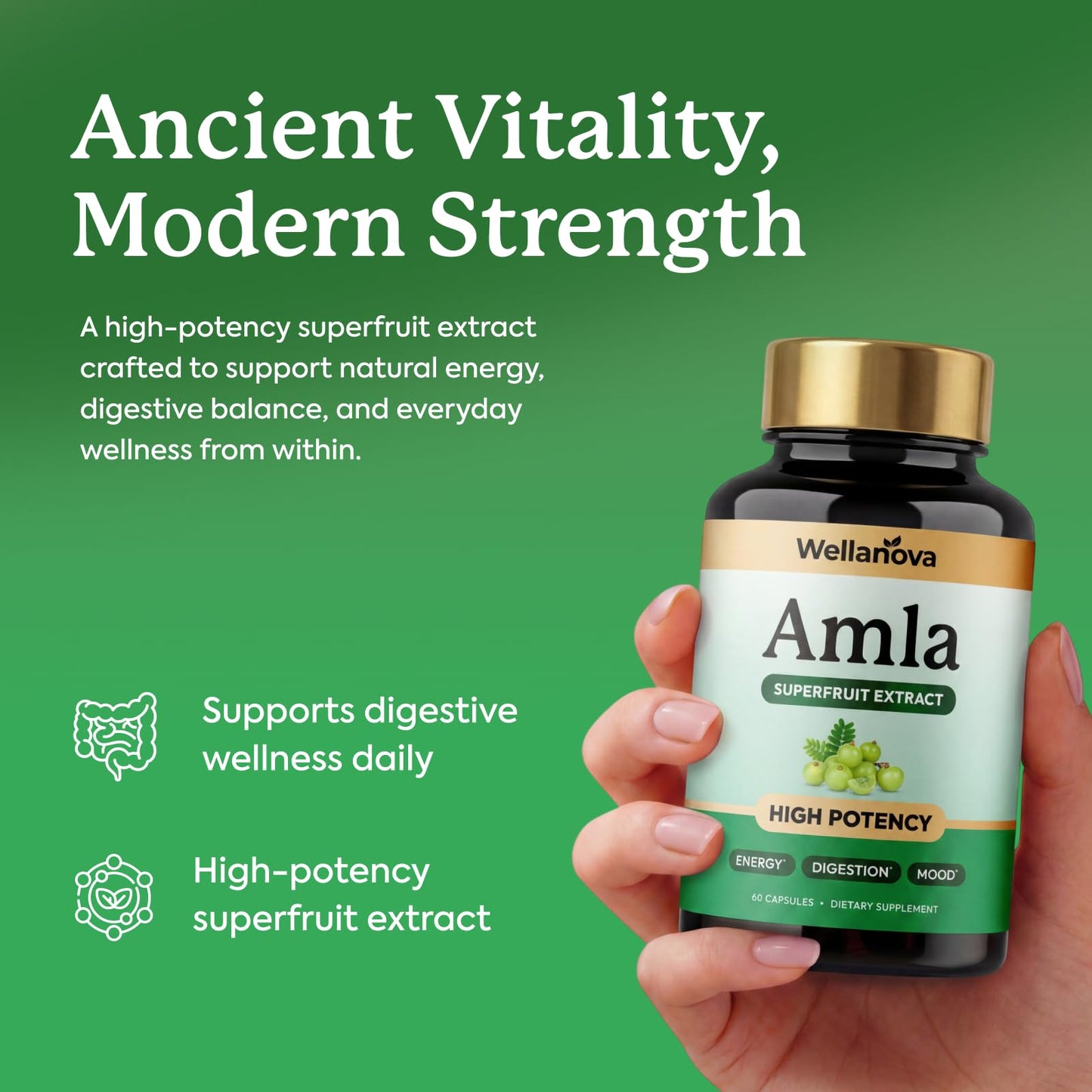 Wellanova Amla Capsules 1000mg, 60 Count