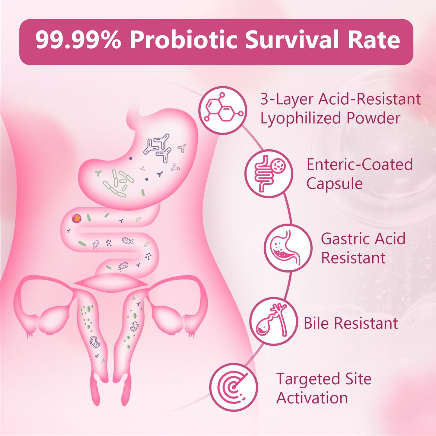 NATURE TARGET Probiotic for Women for Skin Health Capsules, 60 Count