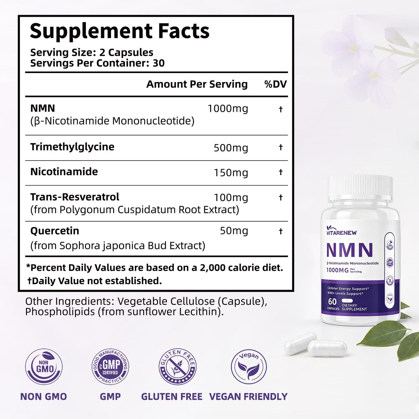 VITARENEW NMN Supplement Capsule 60 Count