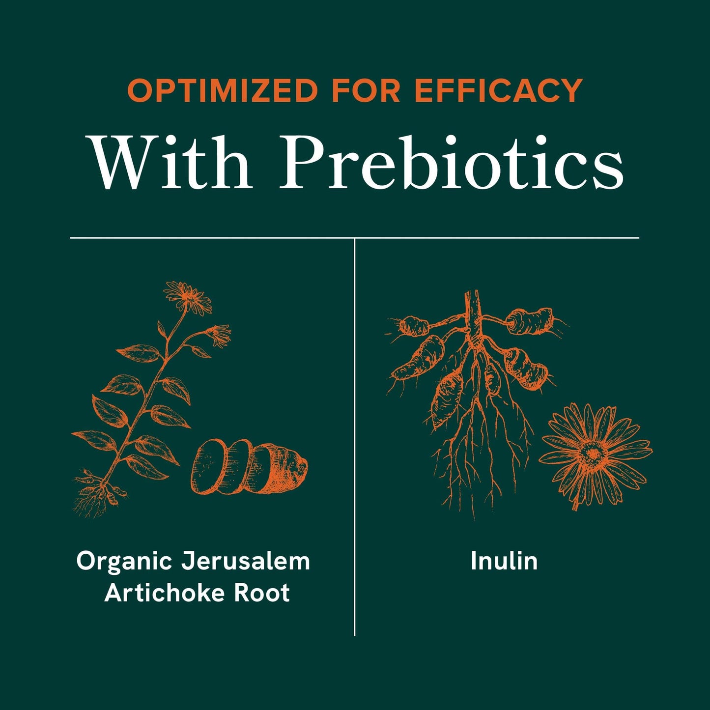 SMNutrition Probiotics for Women Capsule 30 Count