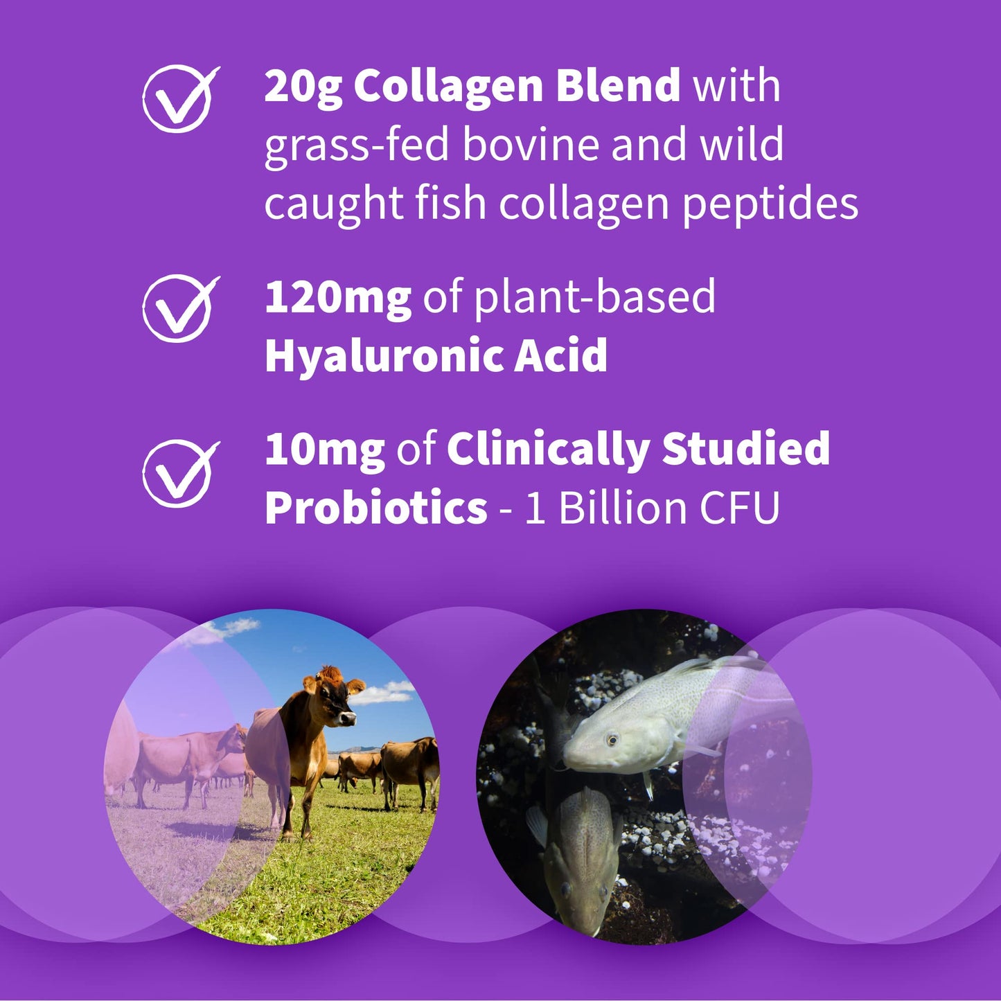 Garden of Life Collagen Beets Bundle Multi-Sourced Collagen Hyaluronic Acid Unflavored, Organic Beets Detox Cranberry Pomegranate, Collagen Peptides Powder, 22.74 oz (Pack of 3)