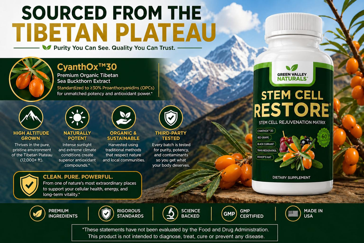 Green Valley Naturals Stem Cell Restore – Cellular Health Support Supplement with CYANTHOX™30, Sea Buckthorn, Black Currant, Grape Seed & Resveratrol, 60 Capsules
