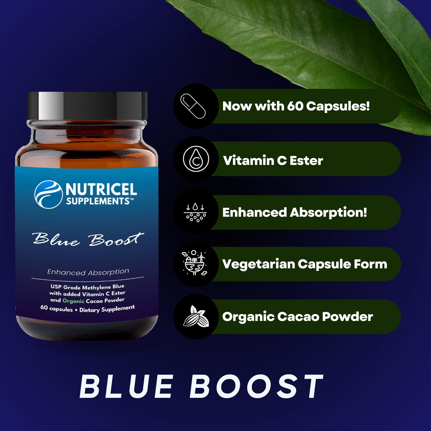 Nutricel Supplements Methylene Blue Capsules 110 Capsules