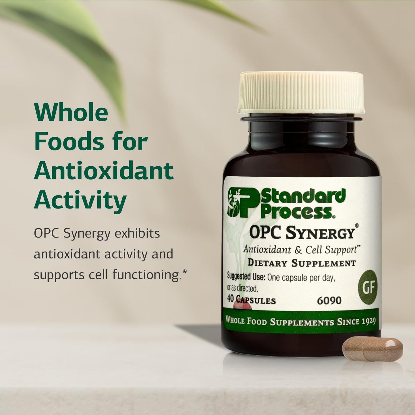 Standard Process Inc. OPC Synergy Capsule 40 Count