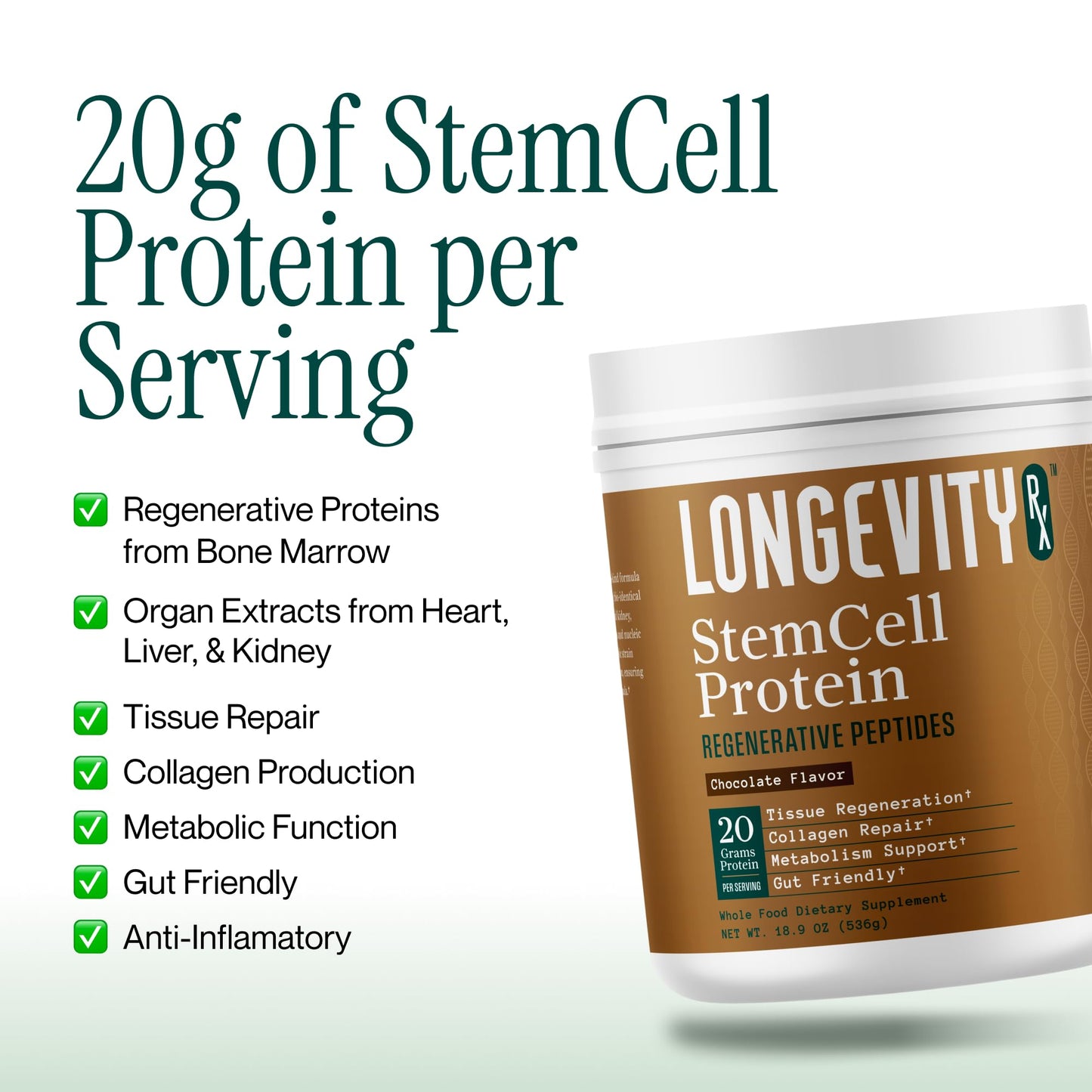 Longevity Rx Stem Cell Protein Powder Chocolate – Bone Marrow & Bone Broth Protein, Bacillus Subtilis AB-22, Natural Peptides – Cellular Recovery, 0.95 oz