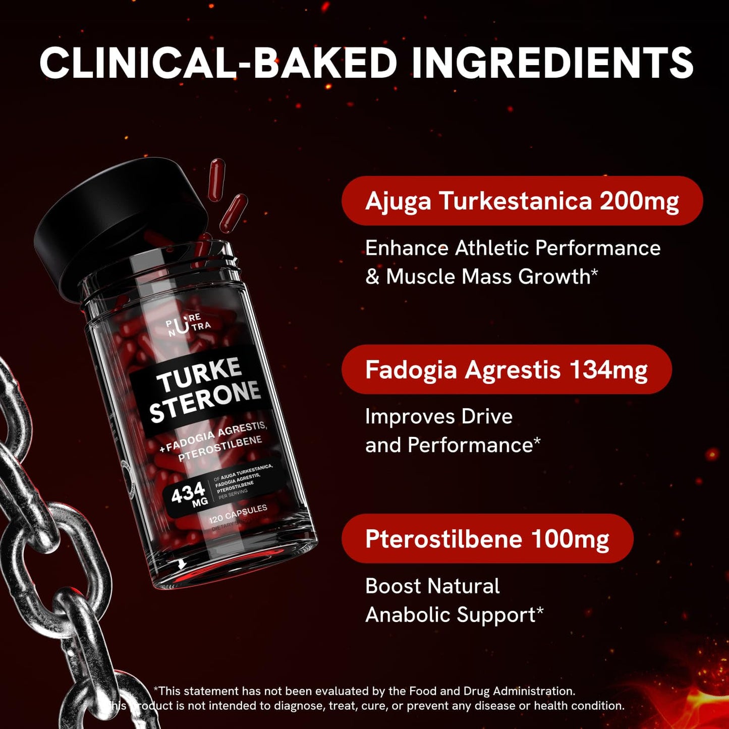PureNutra Turkesterone Capsule, 120 Count