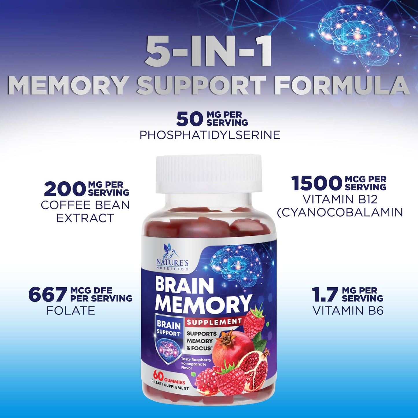 Nature's Nutrition 3X Strength Brain Health Gummies with B6 B12 & Phosphatidylserine, 60 Count