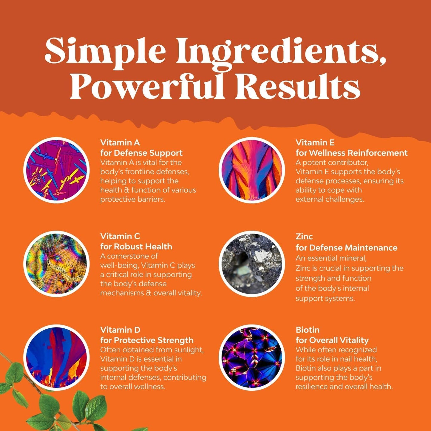 Natures Craft Multivitamin Gummies with Iron, 45mg per Serving