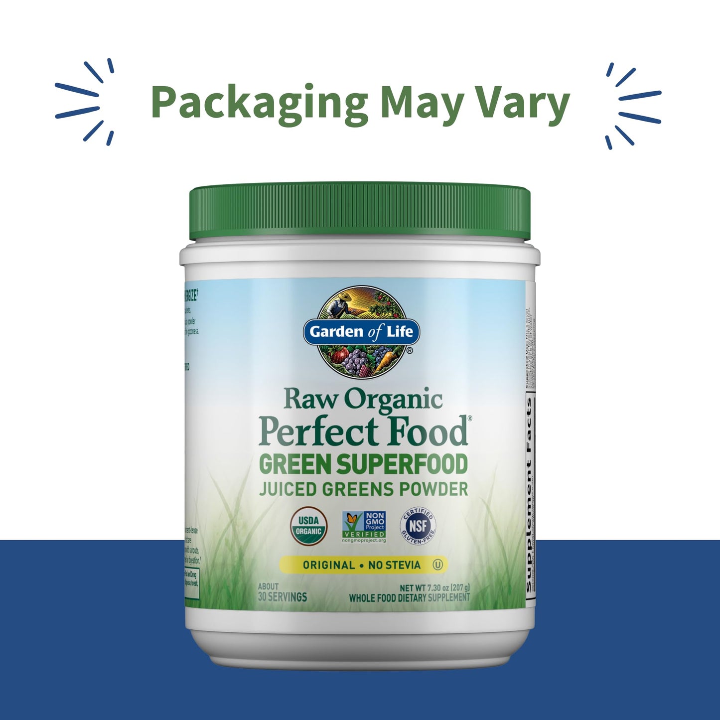 Garden of Life RAW Organic Perfect Food Green Superfood Juiced Greens Powder, 7.3 oz, 30 Servings