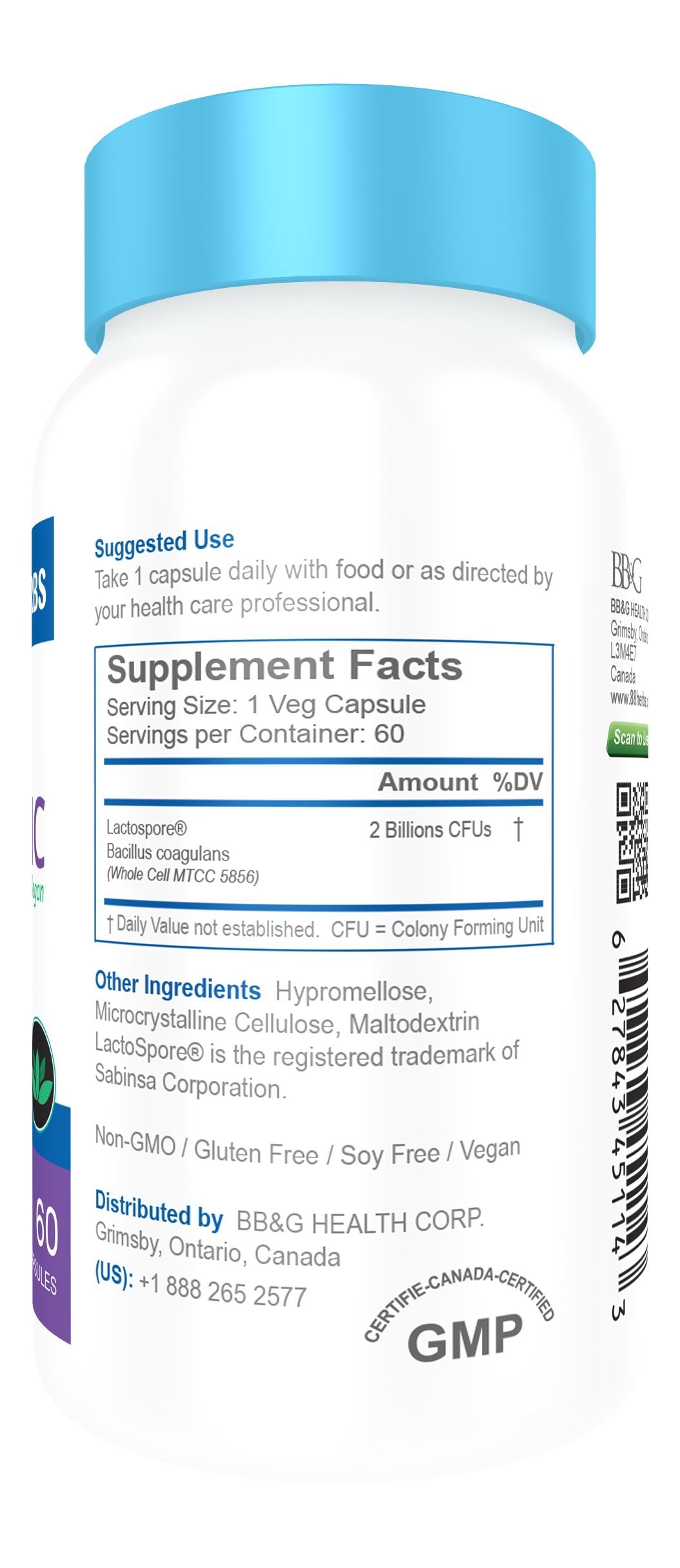 88herbs Probiotic Bacillus Coagulans Lactospore Premium Grade, Vegan, High Survivability in Gut, Shelf Stable, 60 Capsules