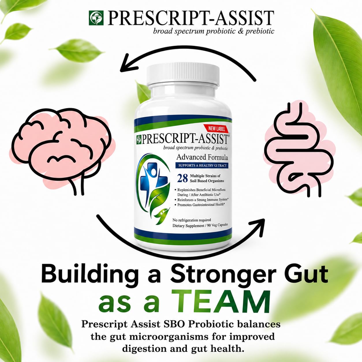 Prescript-Assist Prebiotics & Probiotics for Digestive & Immune Health 1 Capsule