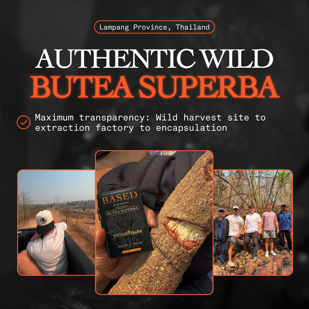 Based Supplements Butea Superba Extract Capsule, 1 Count