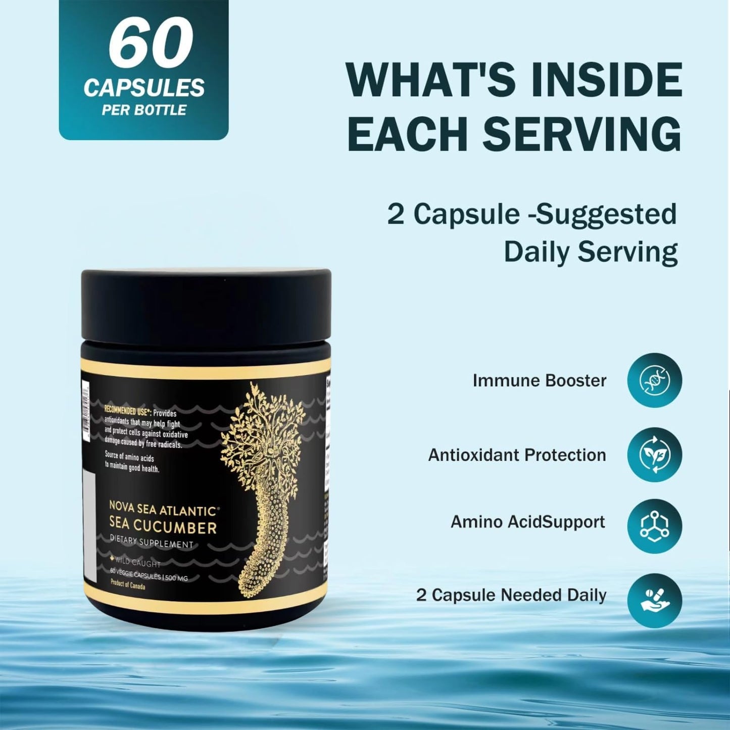 Nova Sea Atlantic Sea Cucumber Supplement Capsule, 60 Count