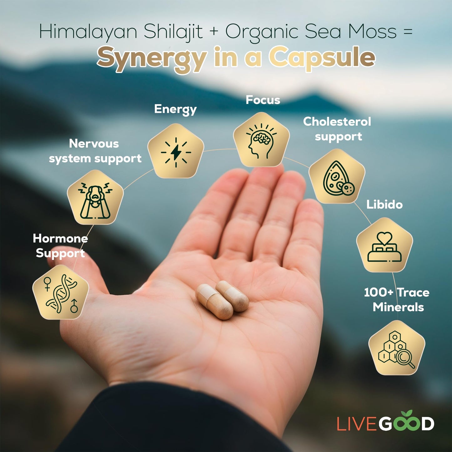 LIVEGOOD Himalayan Shilajit and Organic Sea Moss Capsules, 60 Capsules