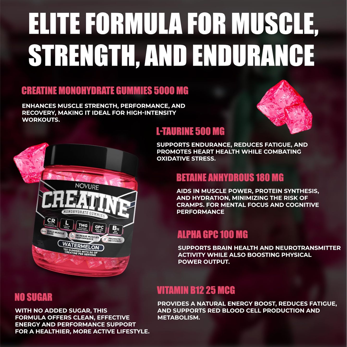Novure Creatine Monohydrate Gummies 120 Count