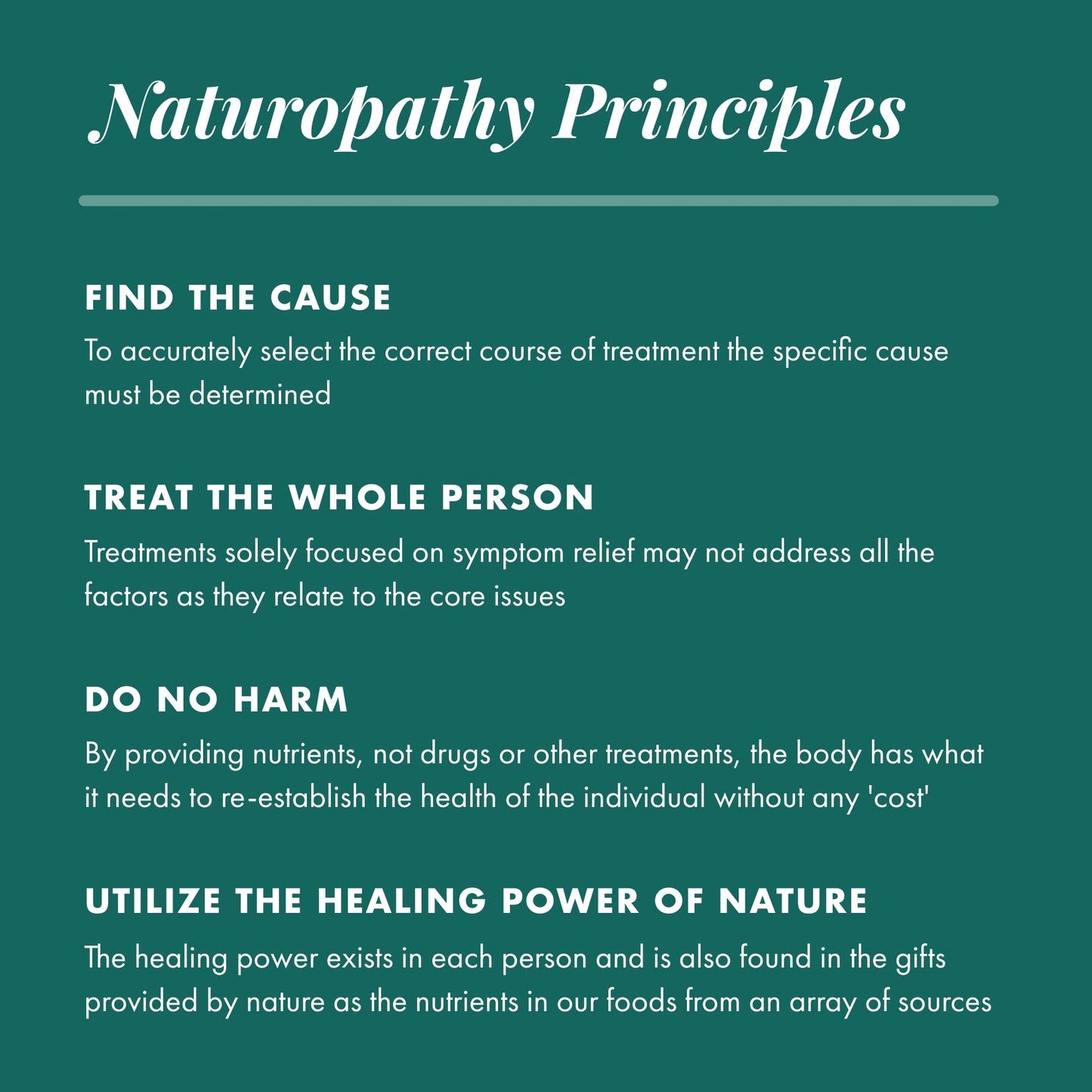 MICHAEL'S Health Naturopathic Programs Teen Boys Daily Multivitamin Supplement Capsules 60 Count