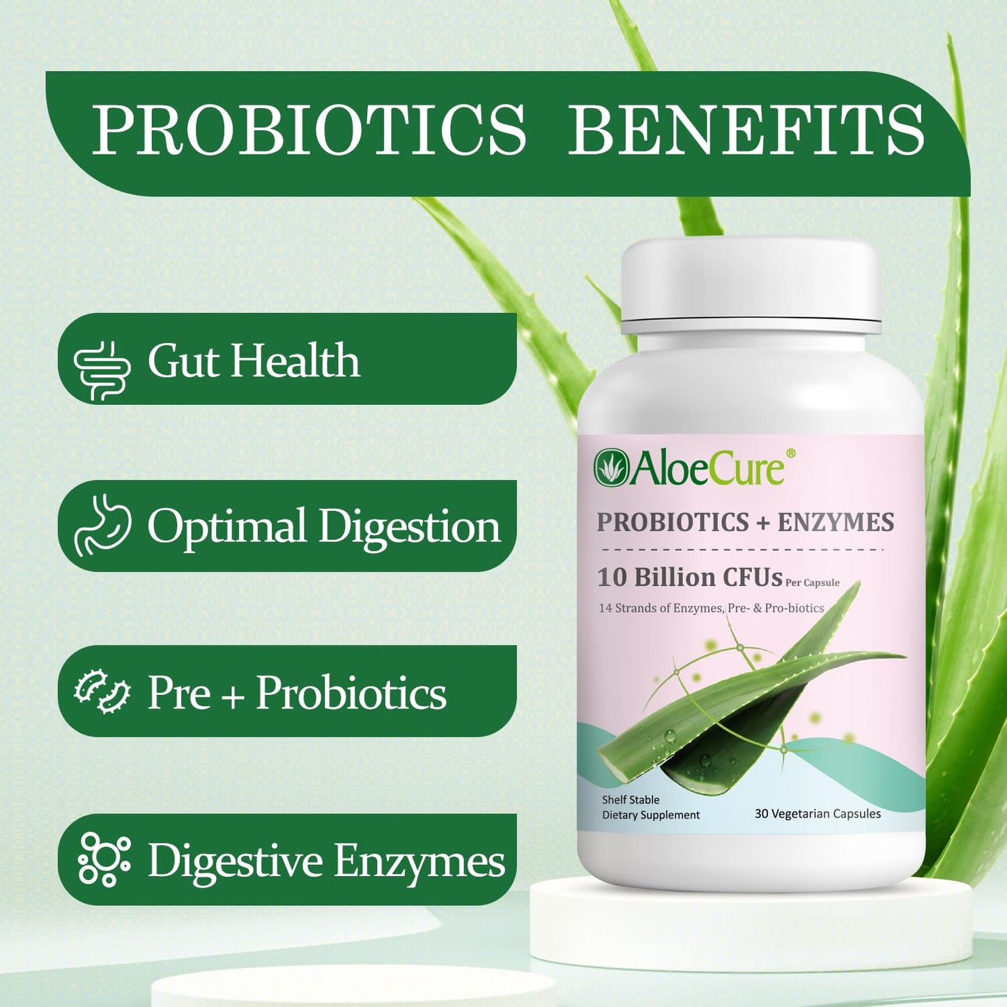 AloeCure Daily Probiotics 10 Billion CFUs + Enzymes & Prebiotics, 60 Capsules